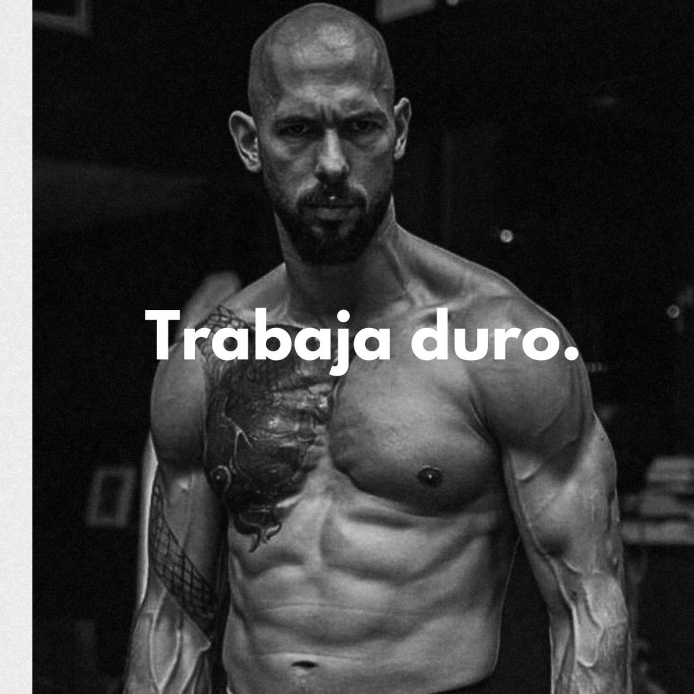 El trabajo duro SIEMPRE da recompensa