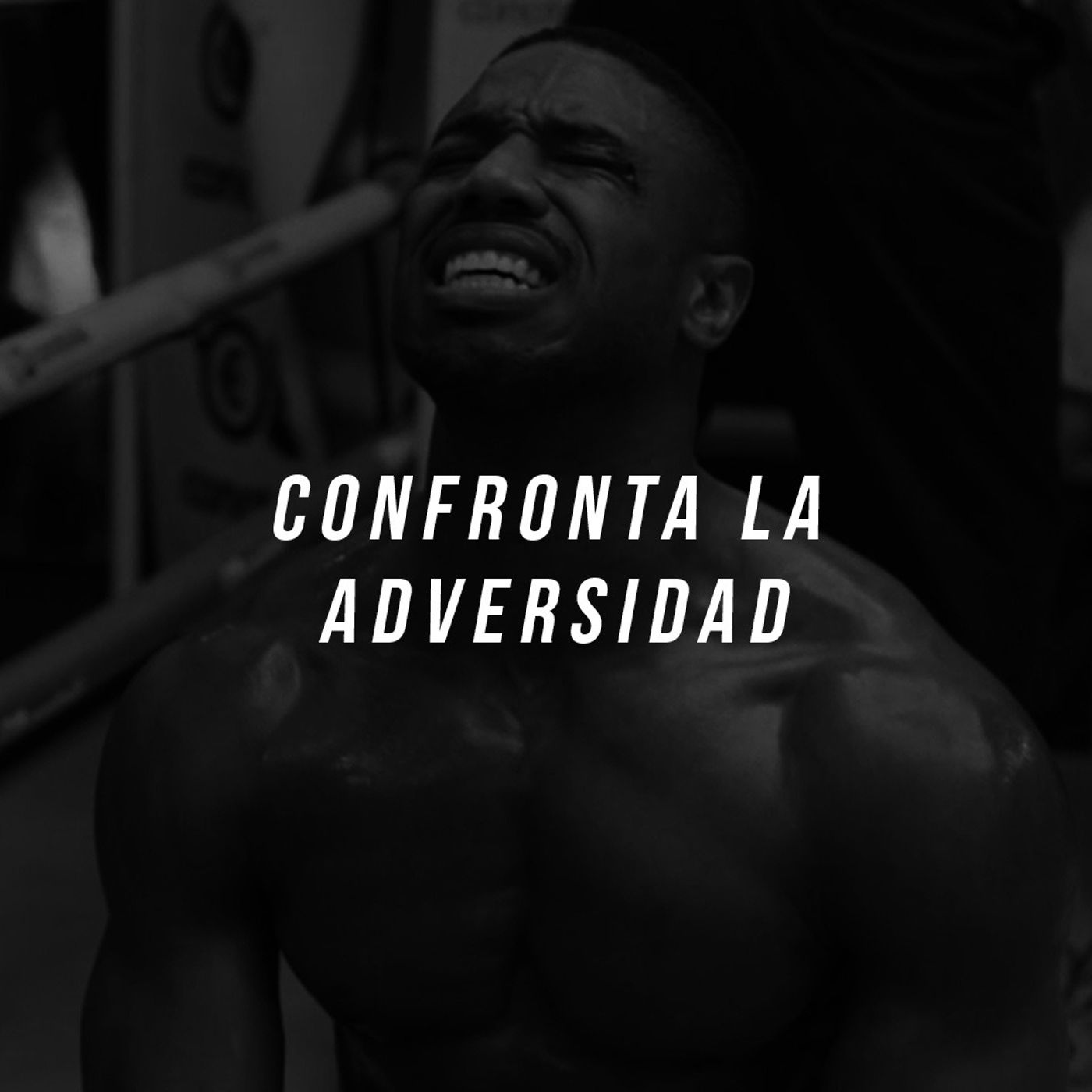 Confronta la adversidad