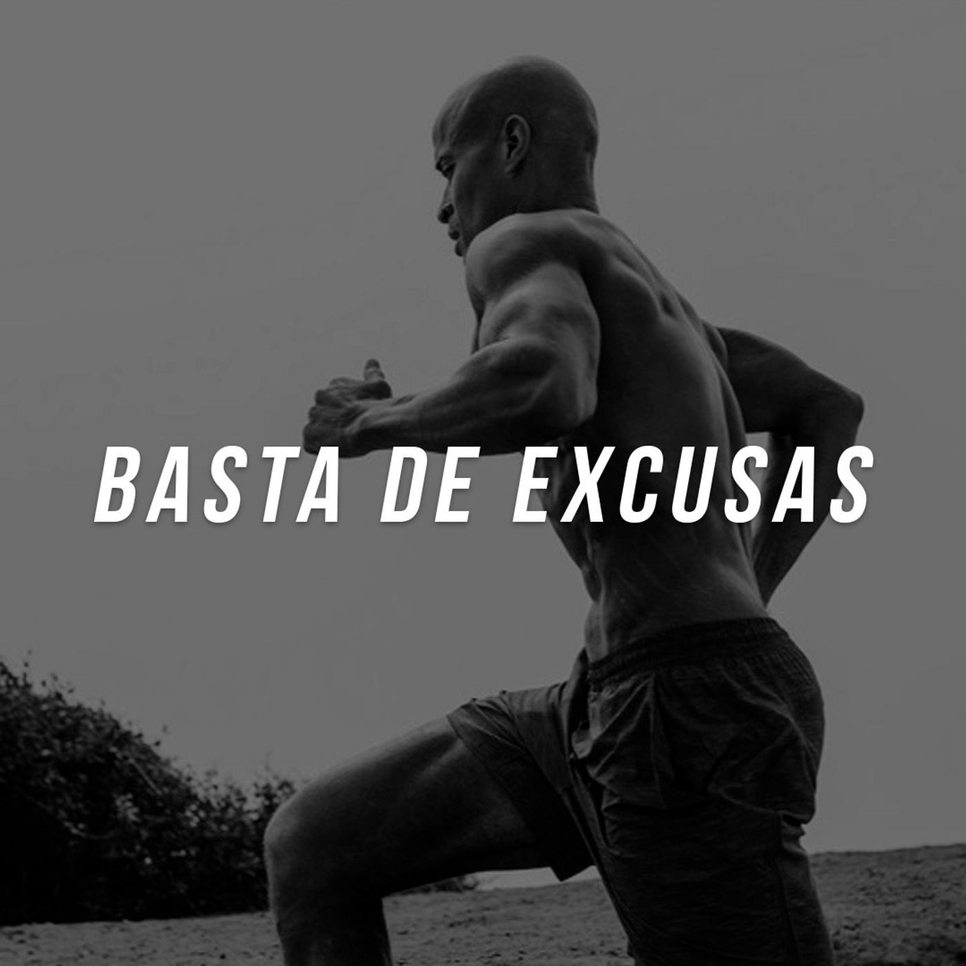 BASTA DE EXCUSAS