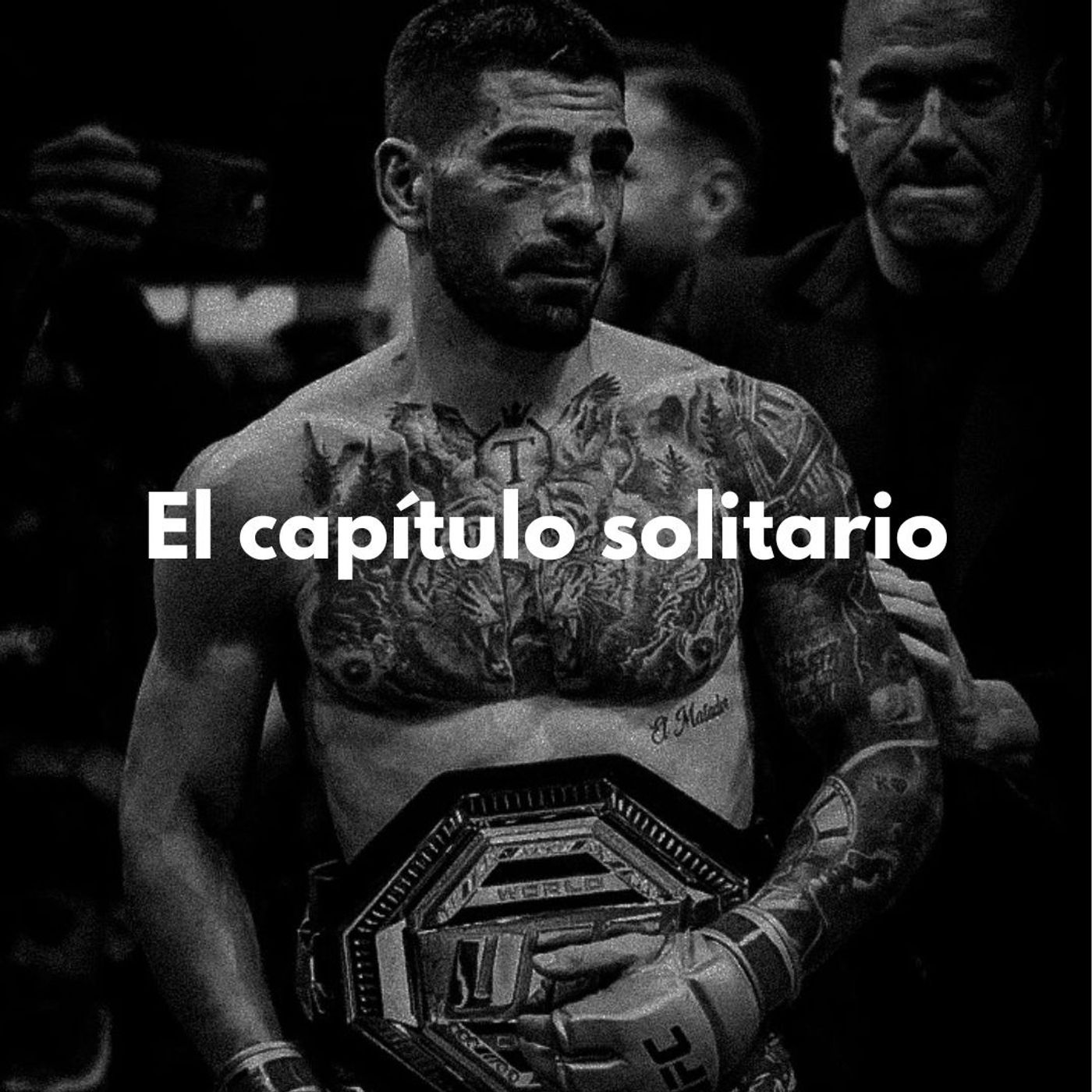El capítulo solitario. episode artwork