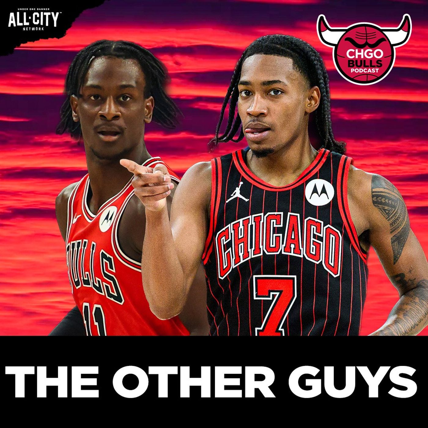 OTHER GUYS: Expectations for Dailyn Swain, Rob Dillingham & Leonard Miller | CHGO Bulls Podcast episode artwork
