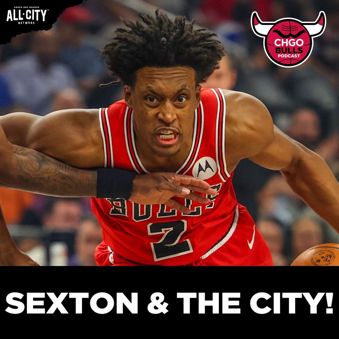 Collin Sexton STEPS UP In Chicago Bulls Win vs Phoenix Suns! | CHGO Bulls Podcast