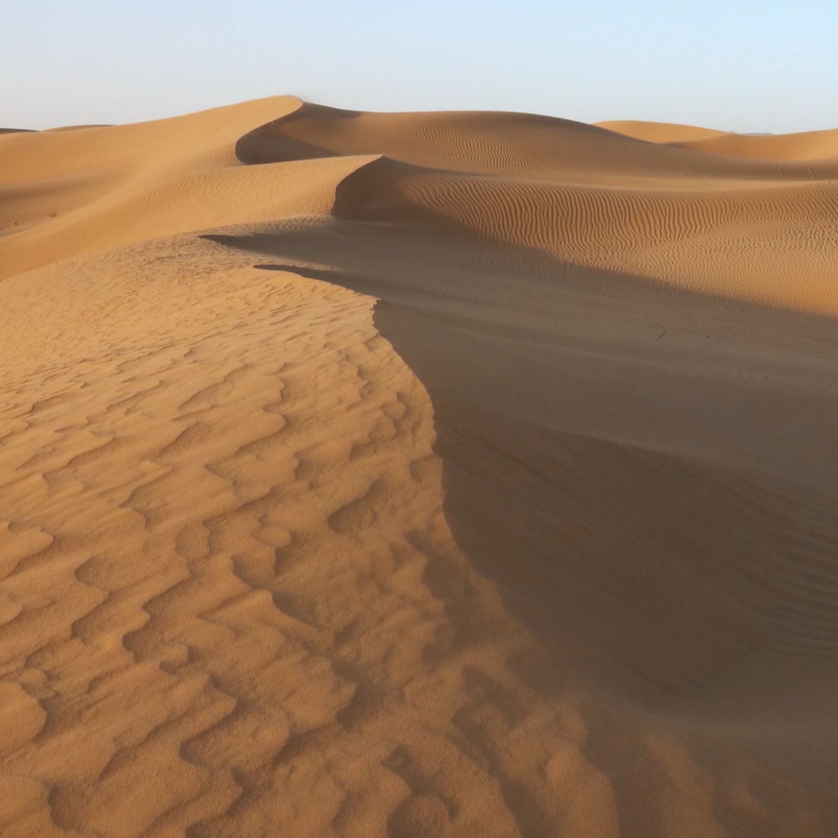 Pilgrims of Hope: Sustaining Strength for the Journey