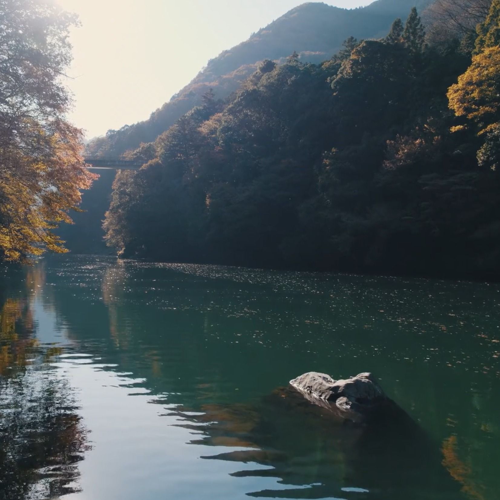 Pilgrims of Hope: On Hope and Healing