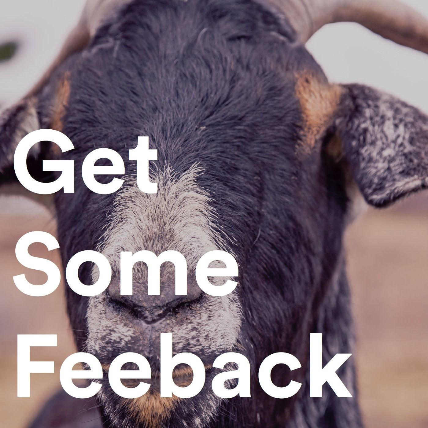How To Get Constructive Feedback