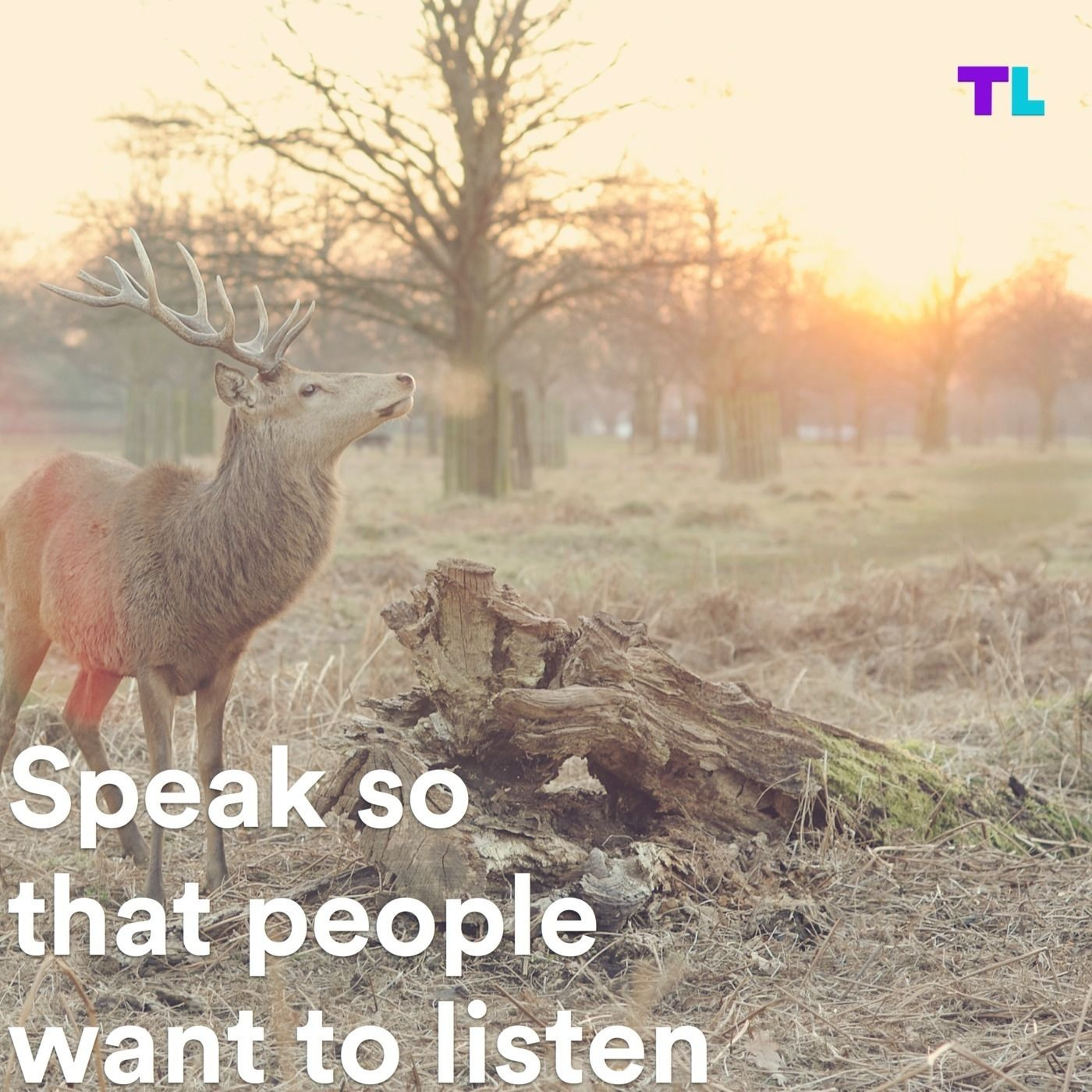 Speak so people want to listen to you