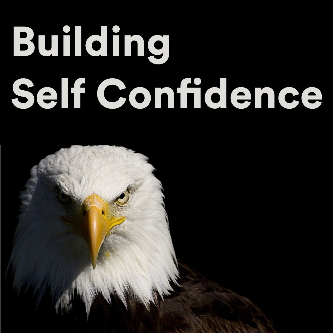 Building Self Confidence