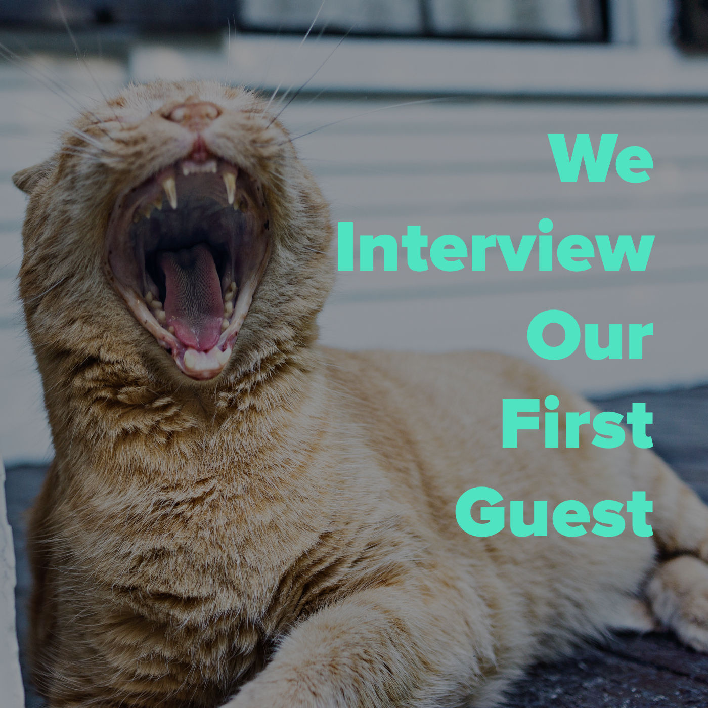 Our First Guest!