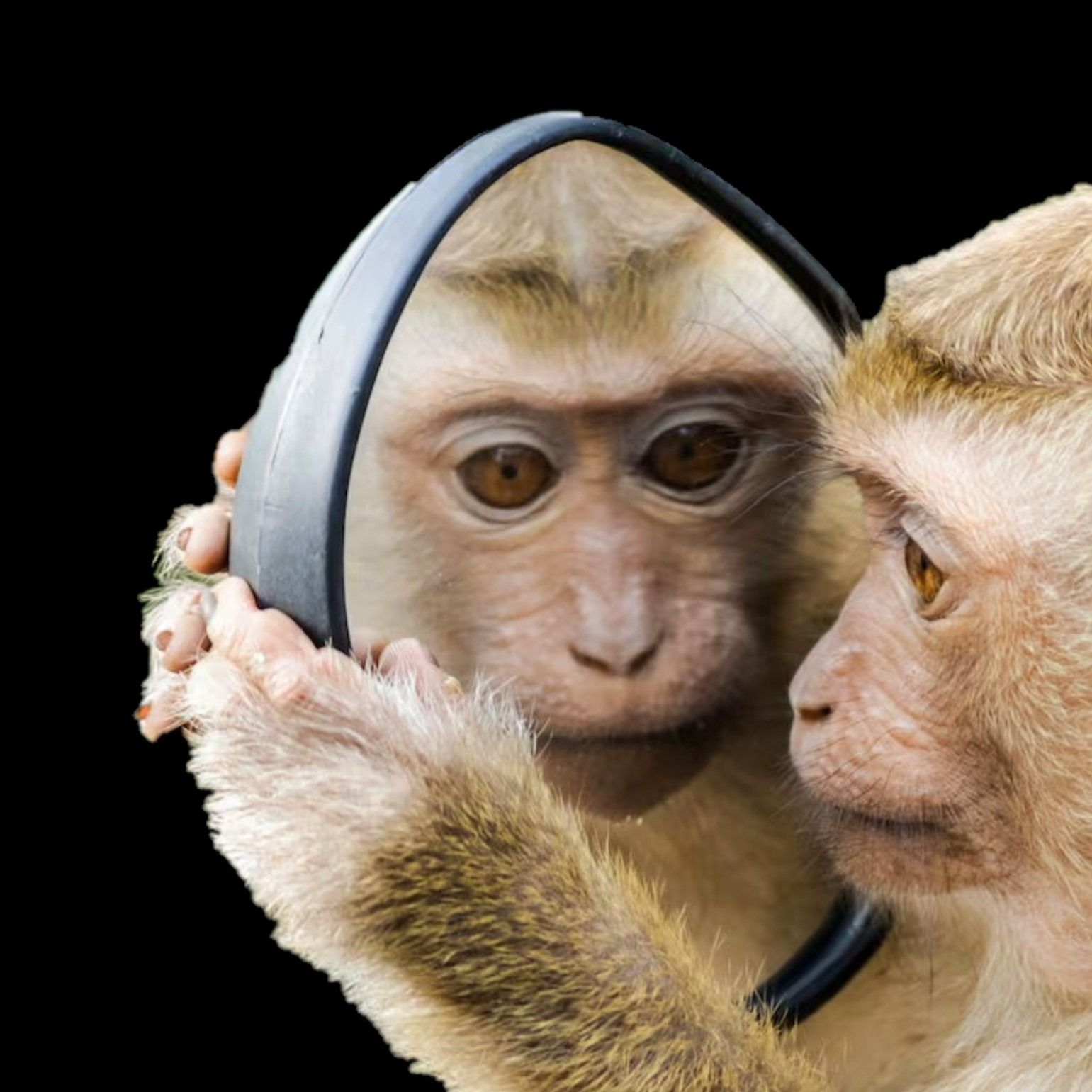 Mysteries of Consciousness Mysteries of Consciousness