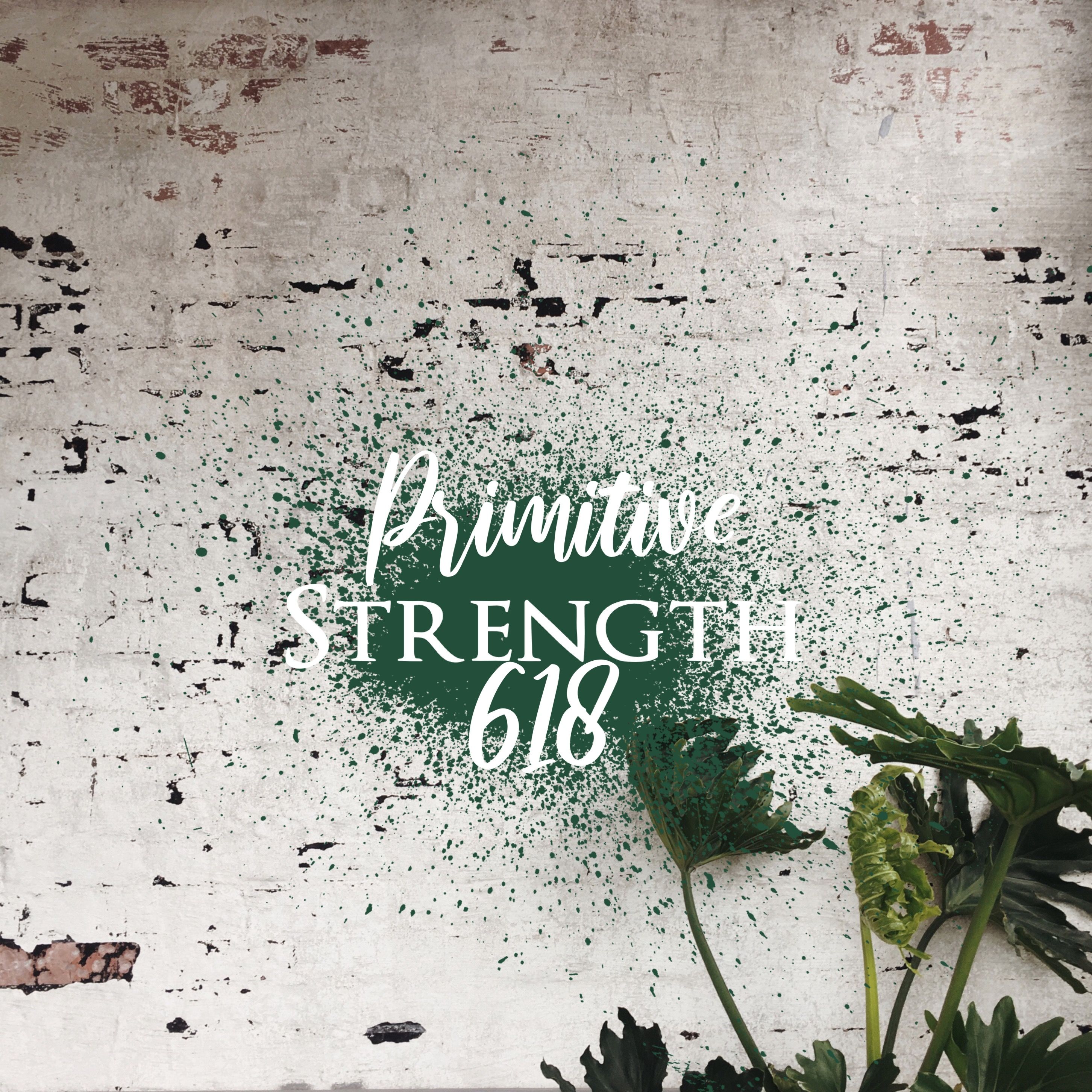 Primitive Strength