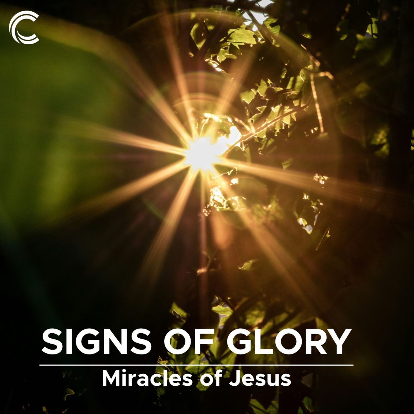 Signs of Glory: Week 2: Water into Wine (03.01.2026) episode artwork