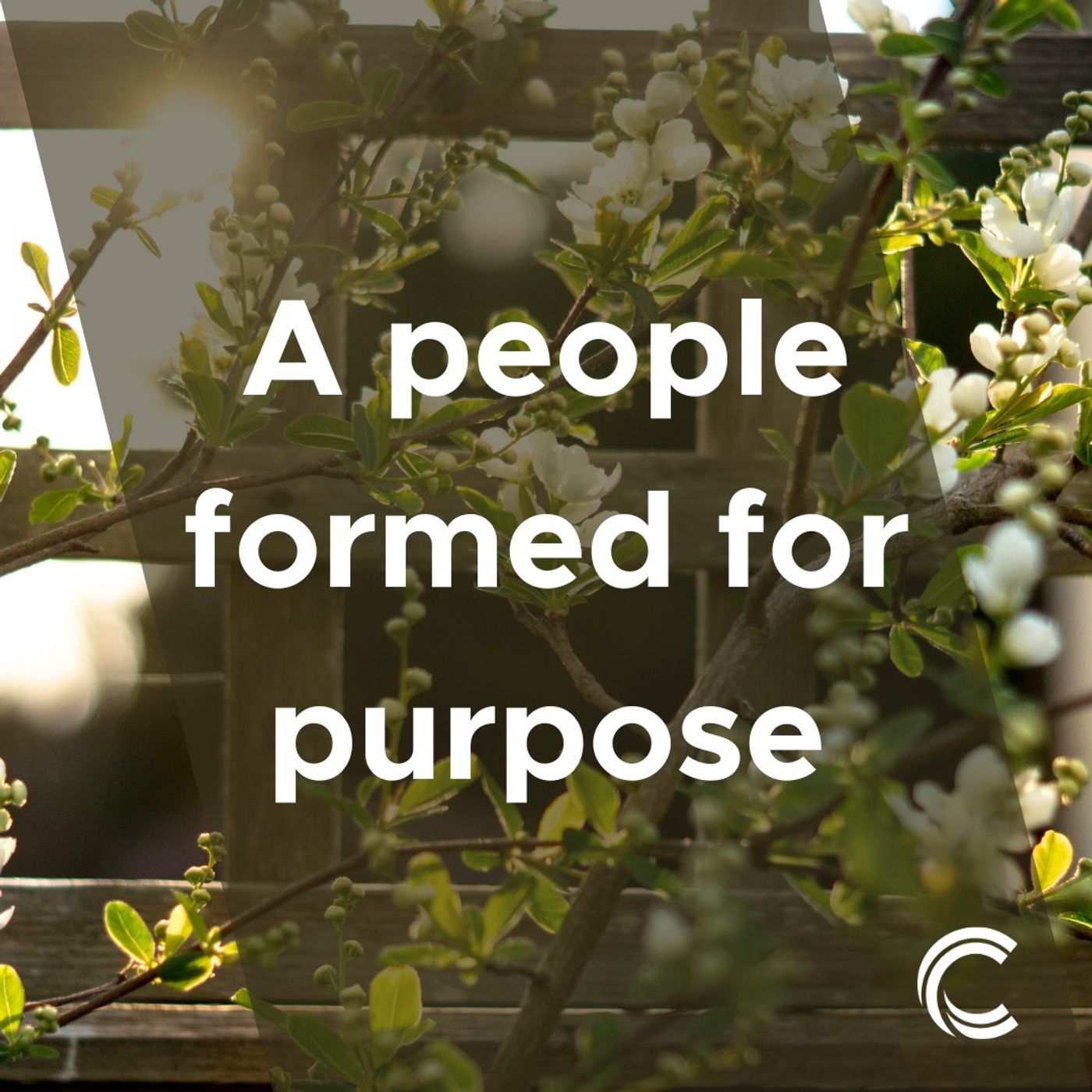 A People Formed for Purpose: Week 1: Intentional Formation (Galatians 5:19-23a NIV)