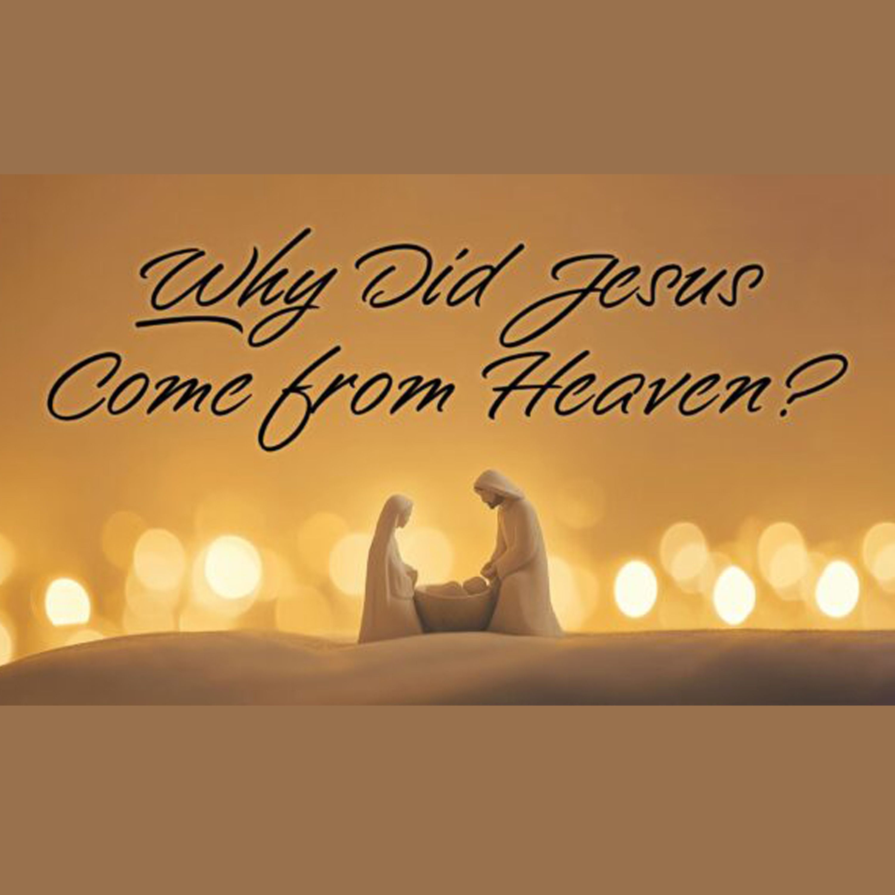 Born to Bear Our Sin