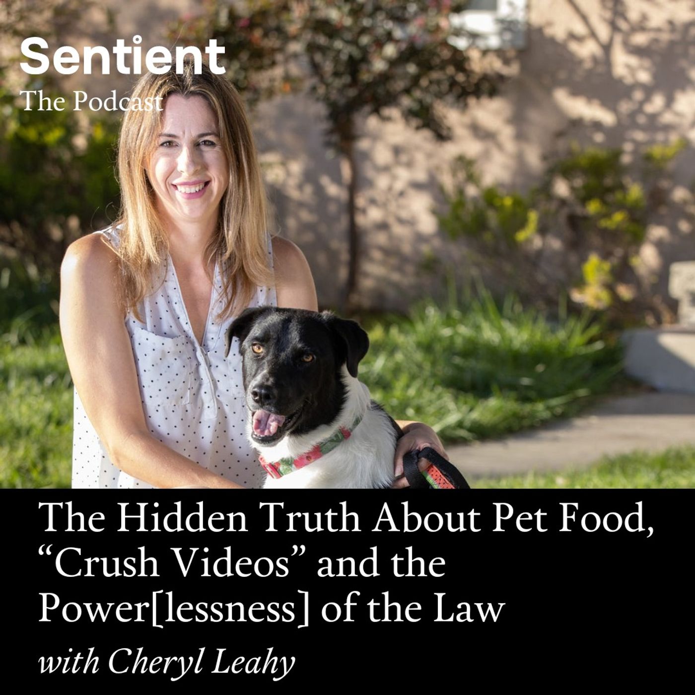 Sentient: The Podcast