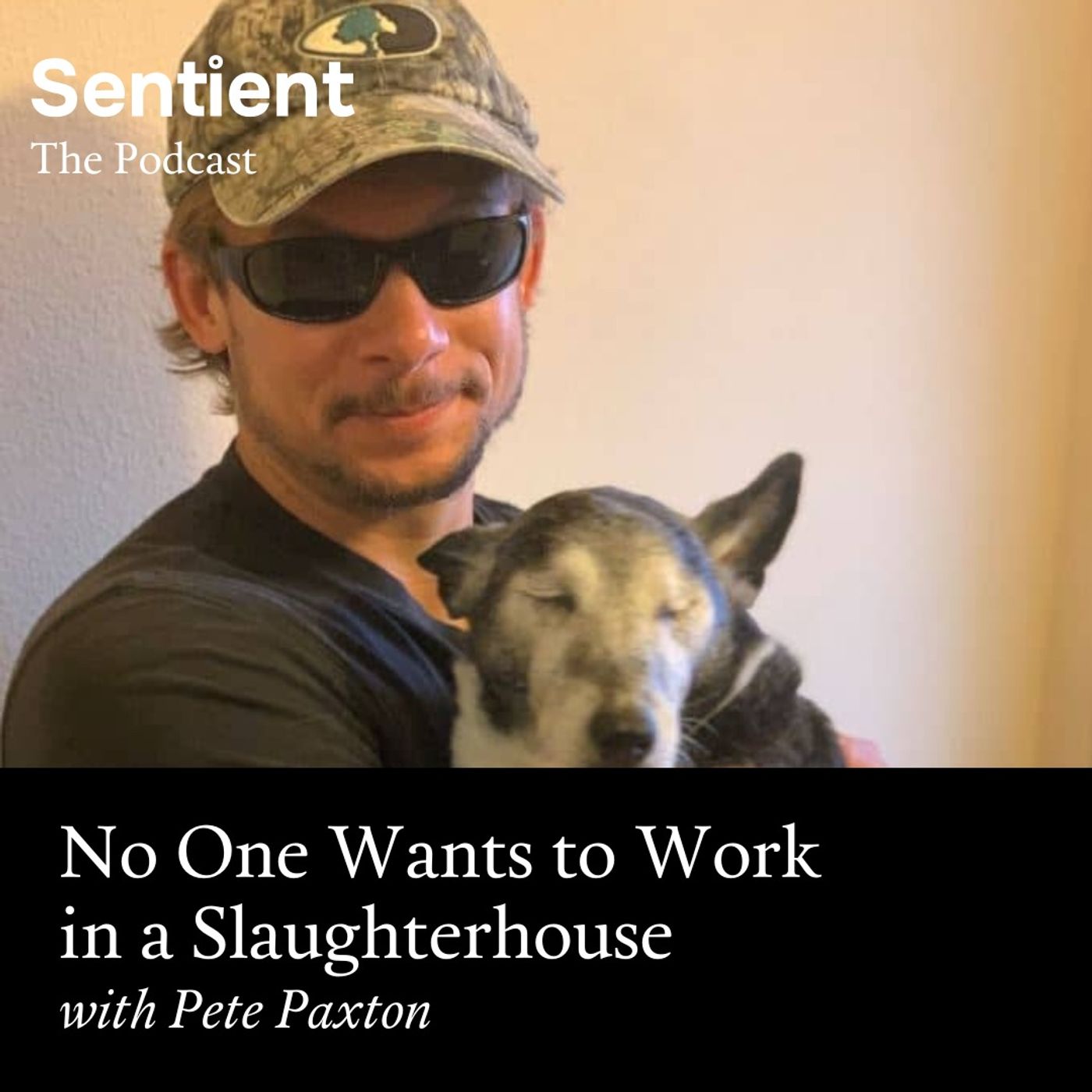 Sentient: The Podcast