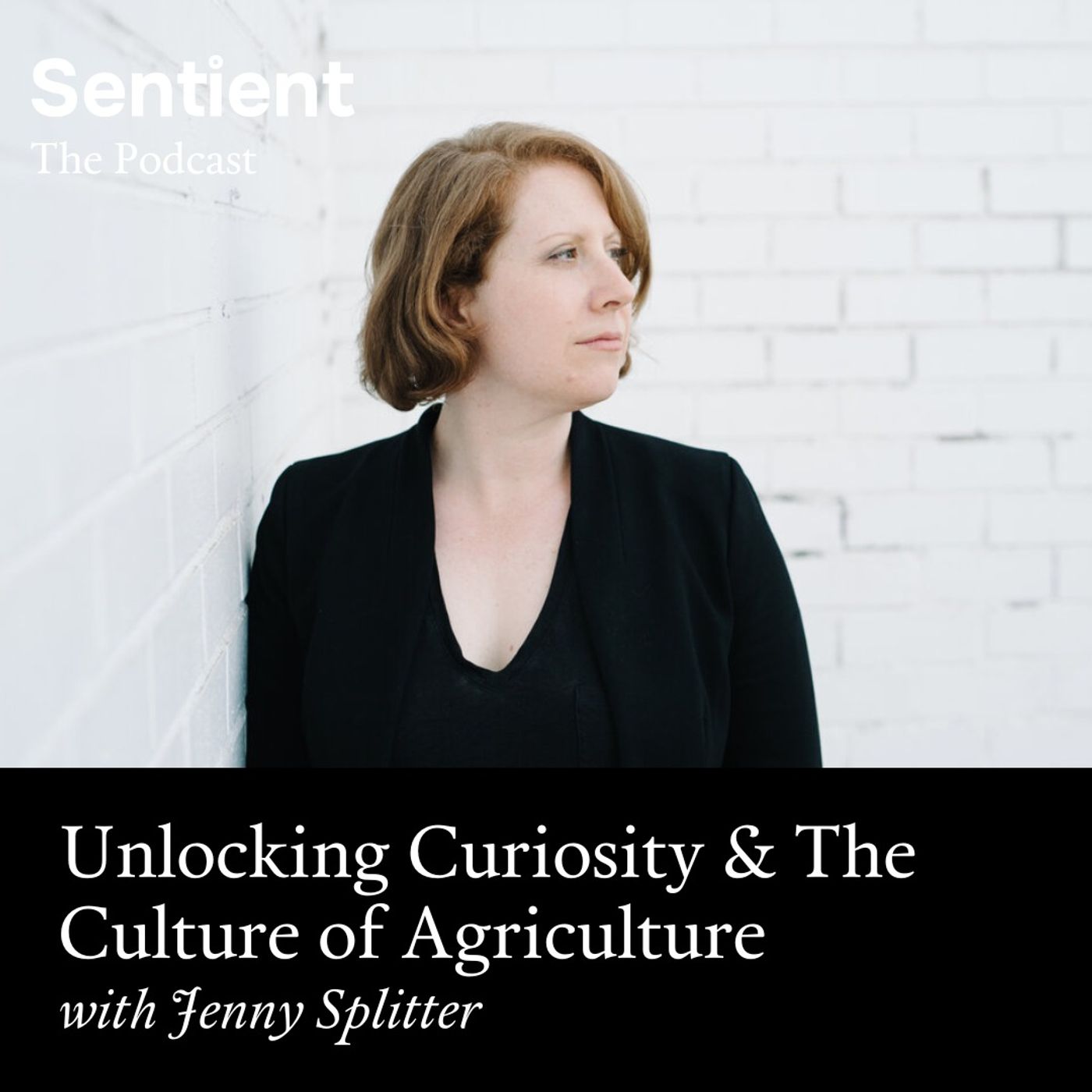 Sentient: The Podcast