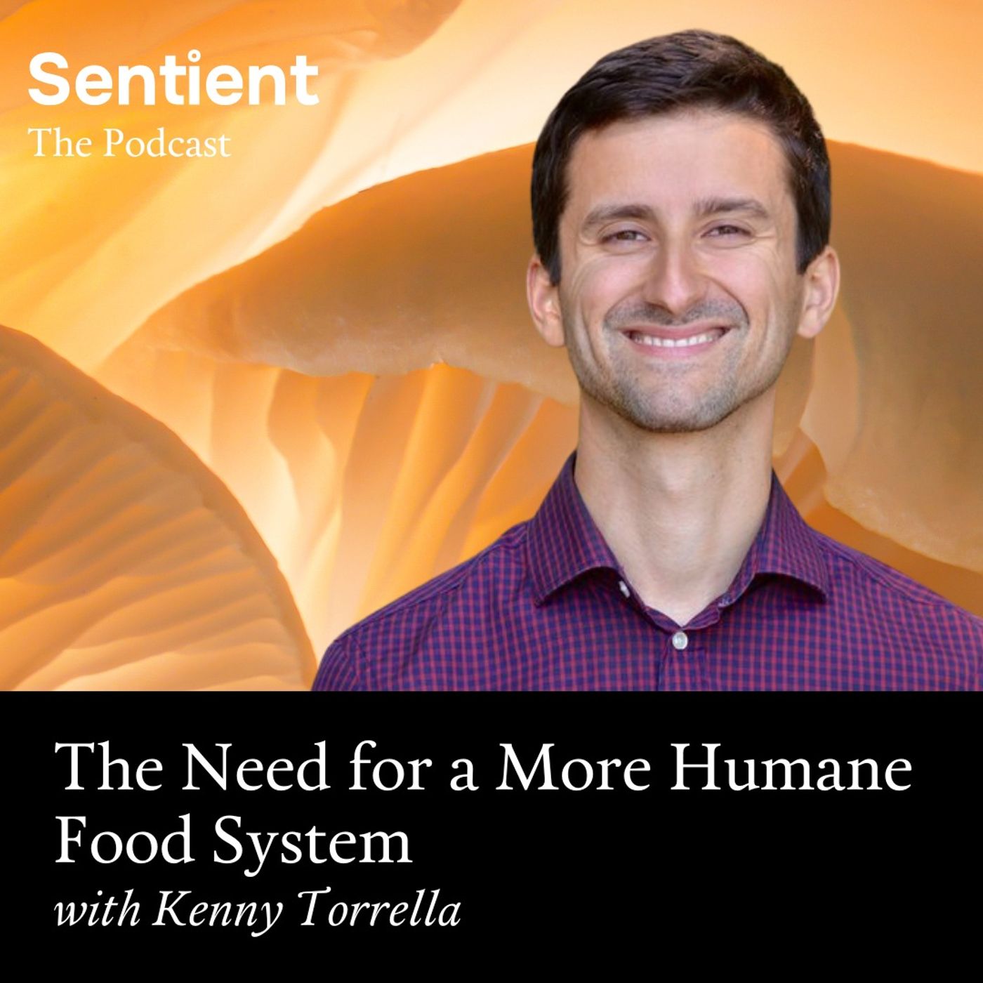 Sentient: The Podcast