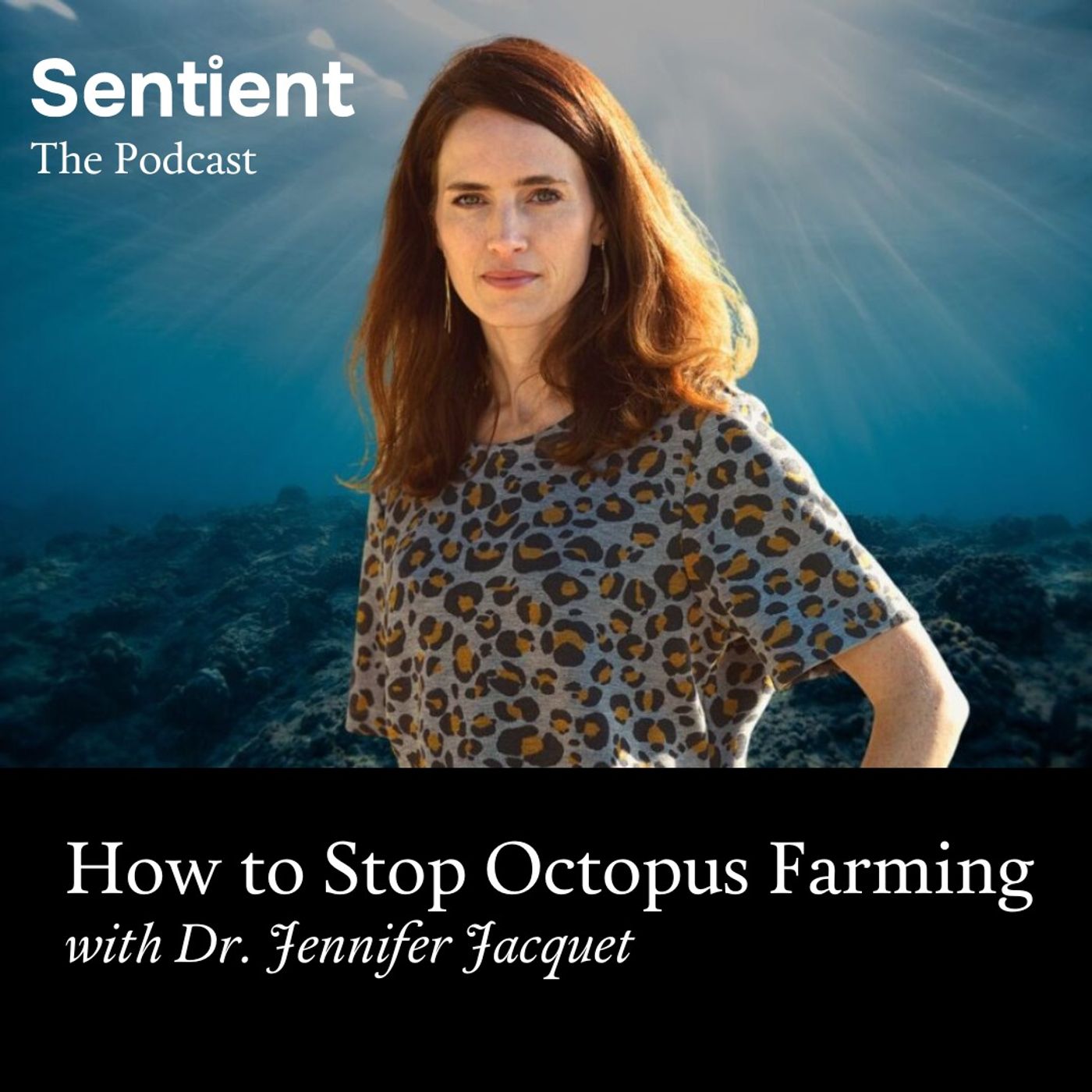 Sentient: The Podcast