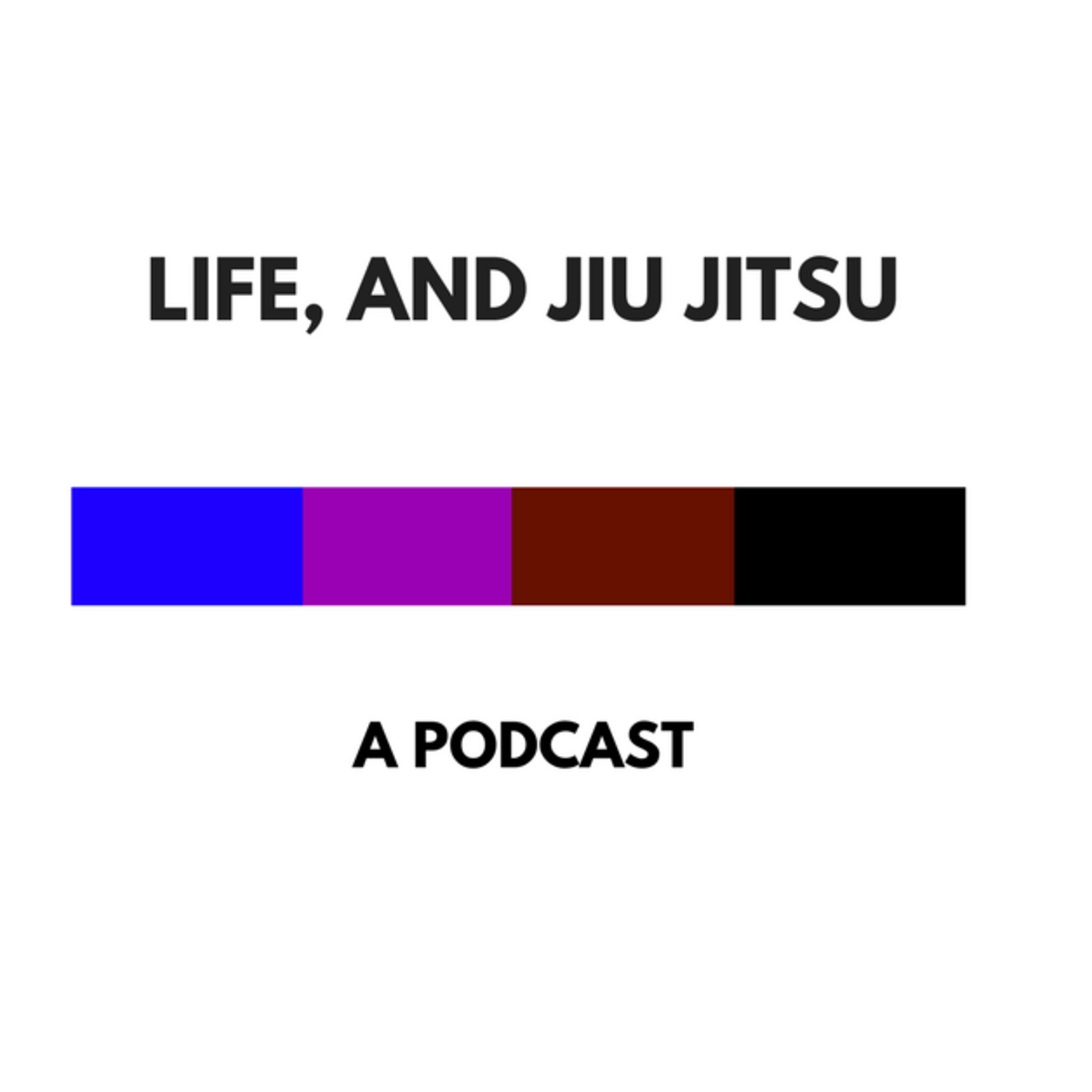UFC 217 Post Fight episode artwork