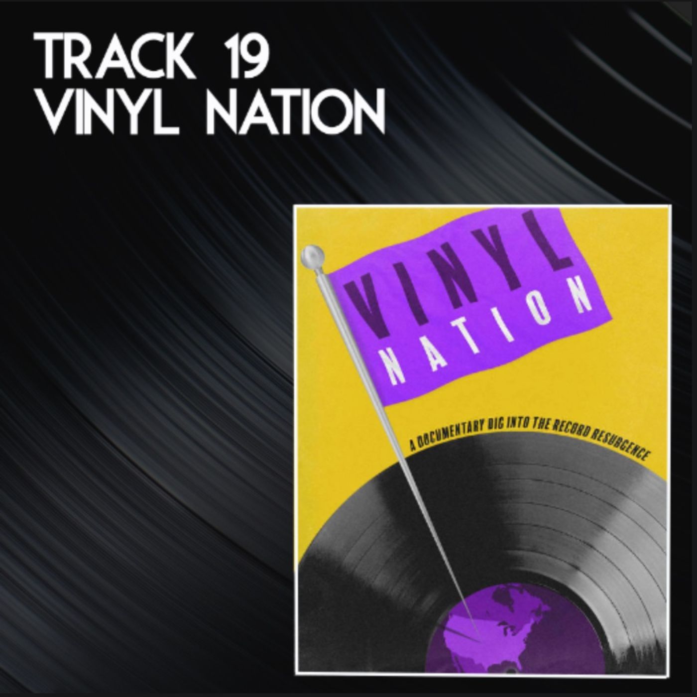 Track 19: Vinyl Nation