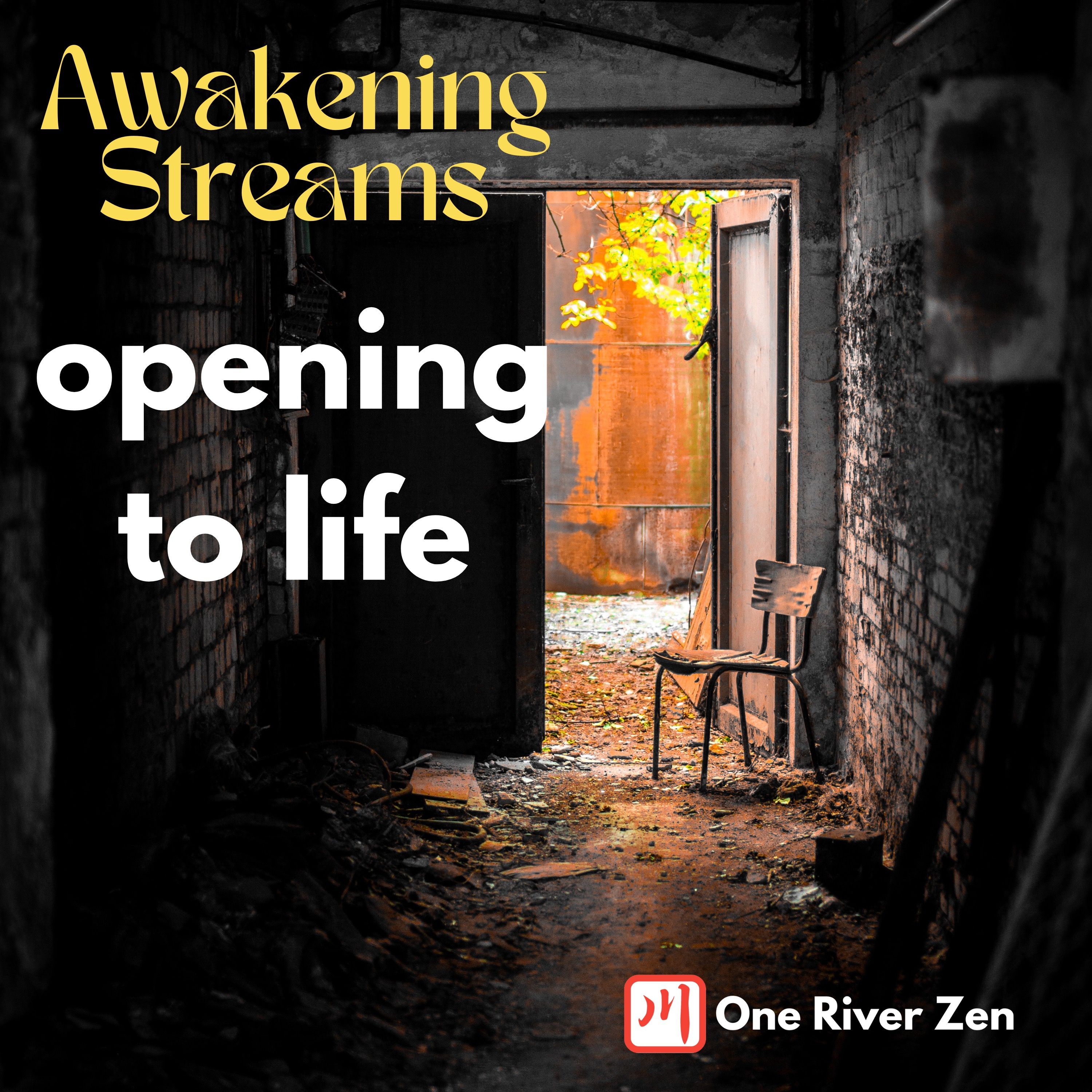 Awakening Streams: The One River Zen Podcast