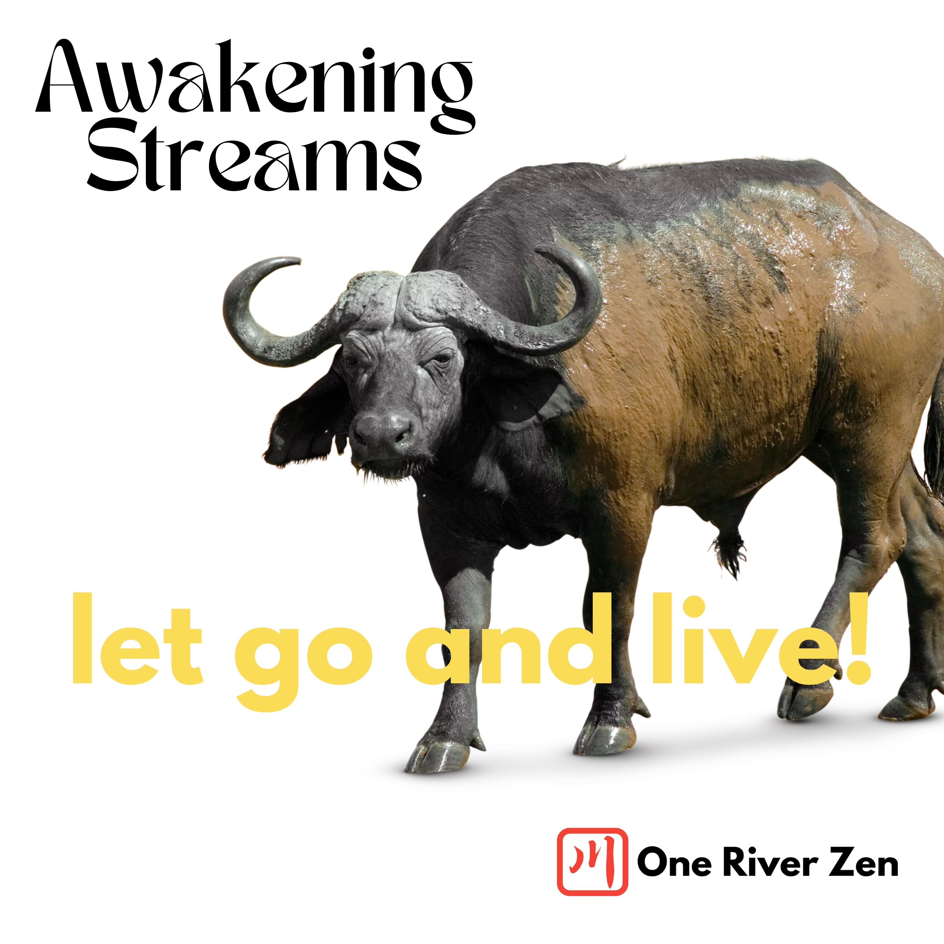 Awakening Streams: The One River Zen Podcast