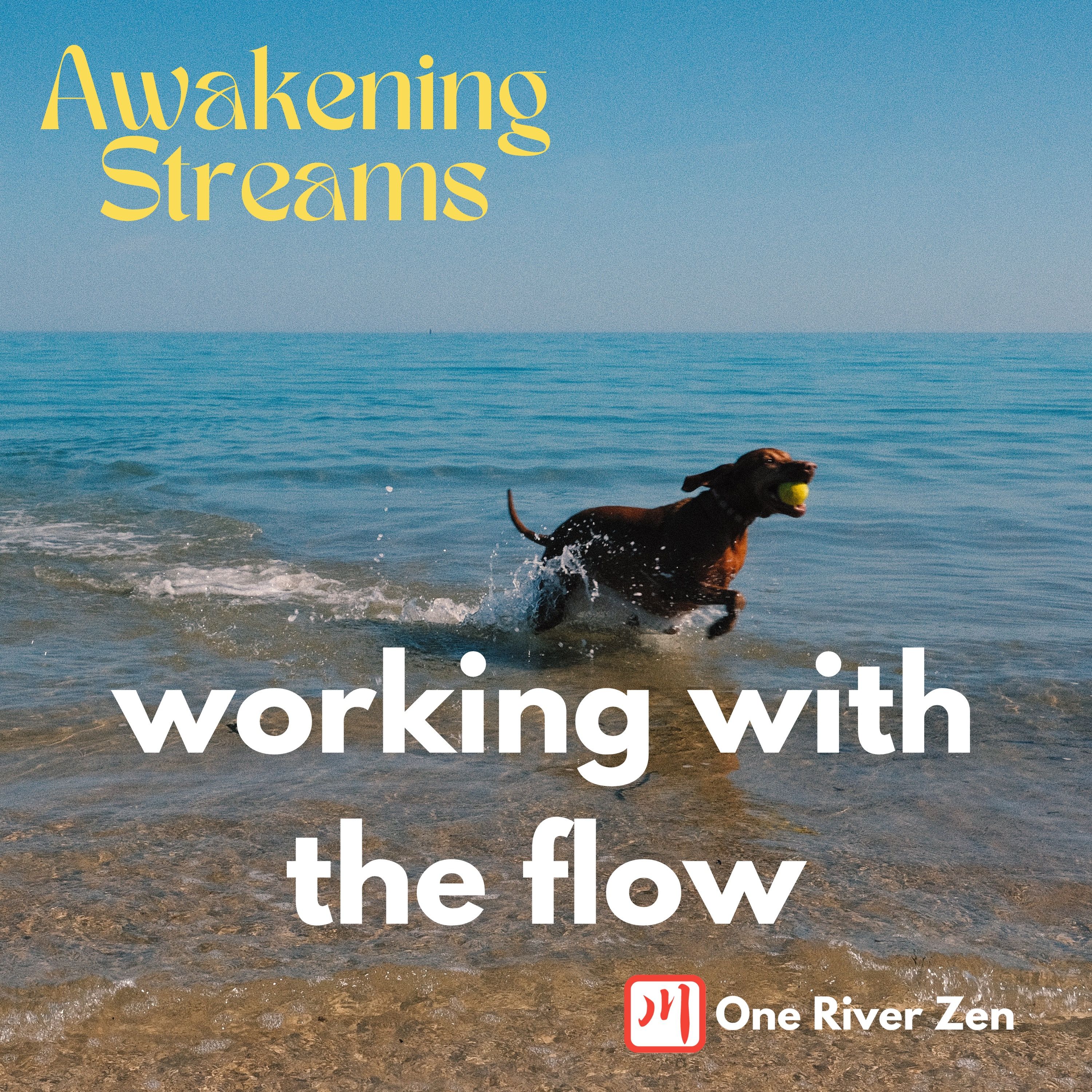 Awakening Streams: The One River Zen Podcast