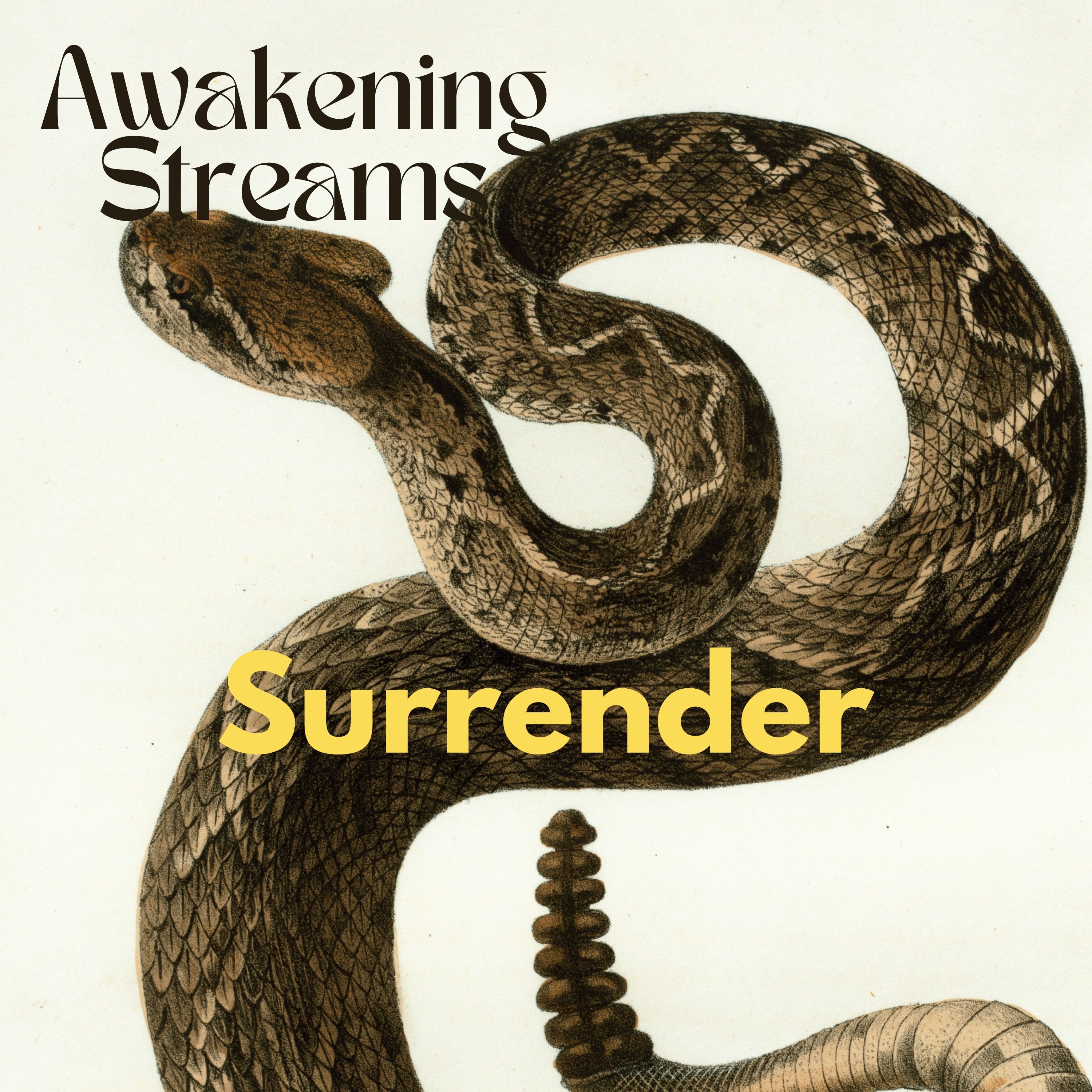 Awakening Streams: The One River Zen Podcast