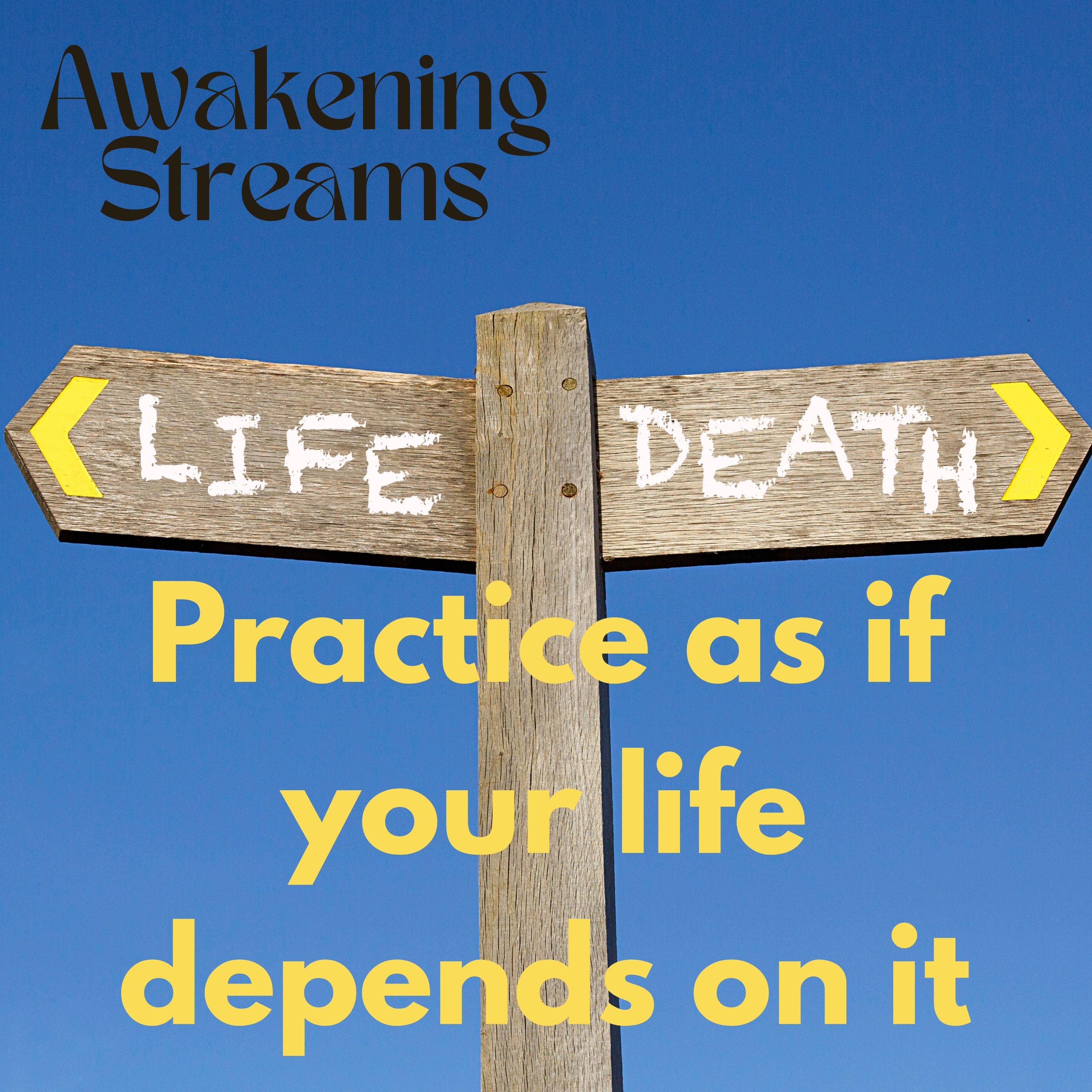 Awakening Streams: The One River Zen Podcast