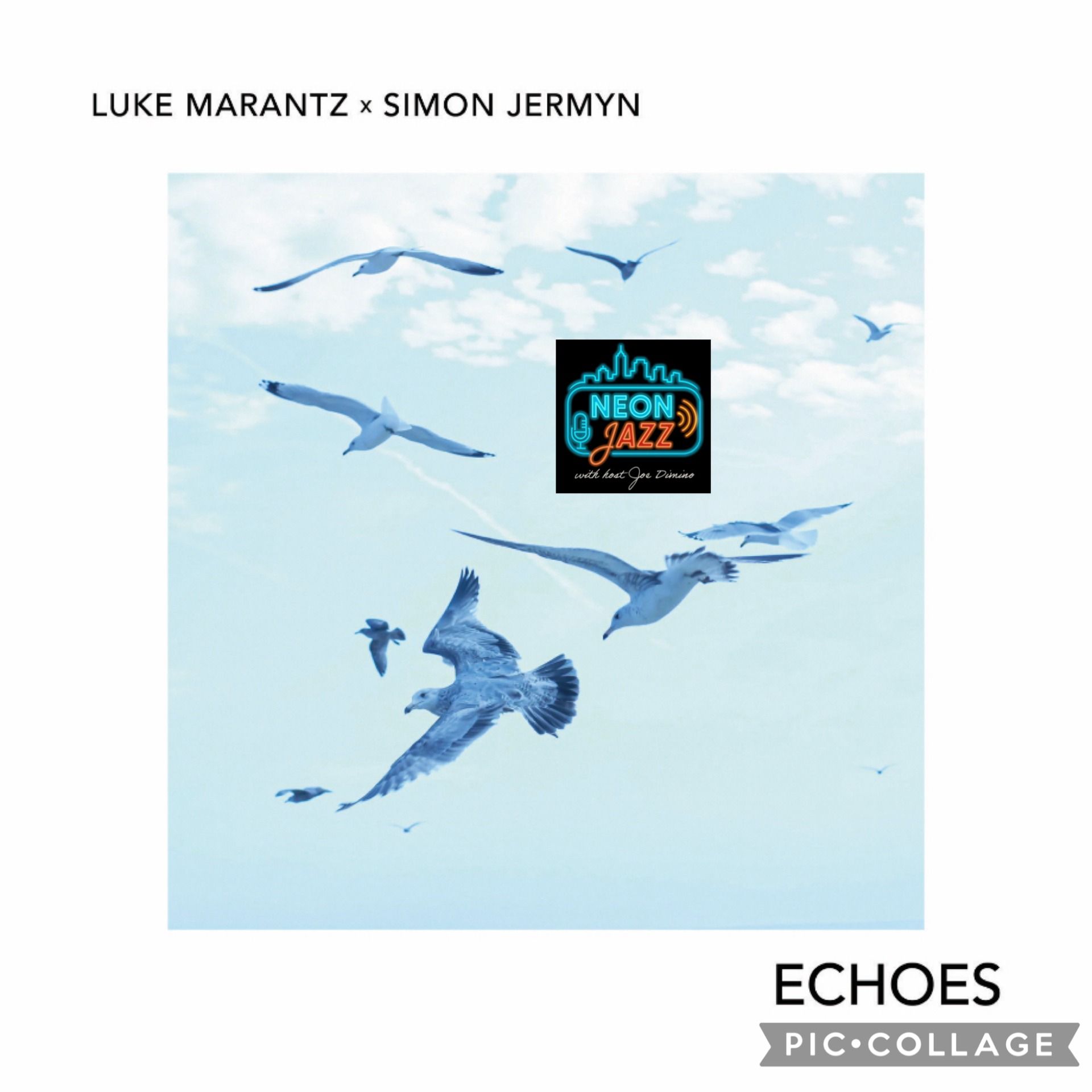 Brooklyn Jazz Pianist Luke Marantz on His New Album Echoes & His Career