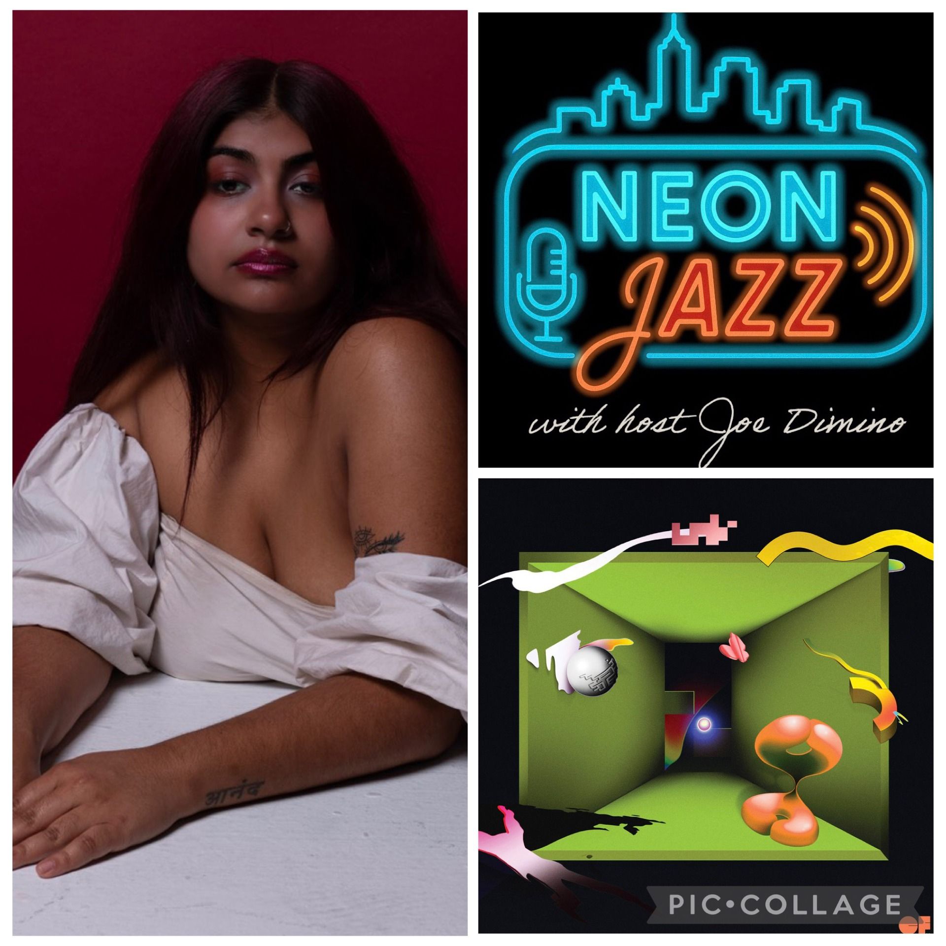 Sharada Shashidhar Interview | A Foot on the Ground (2026) | Jazz, Indian Classical & Experimental Music episode artwork