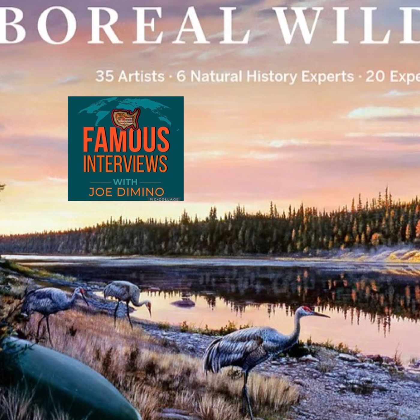 Award-Winning Wildlife Artist, Biologist, Expedition Canoeist & Vermont-native Rob Mullen episode artwork
