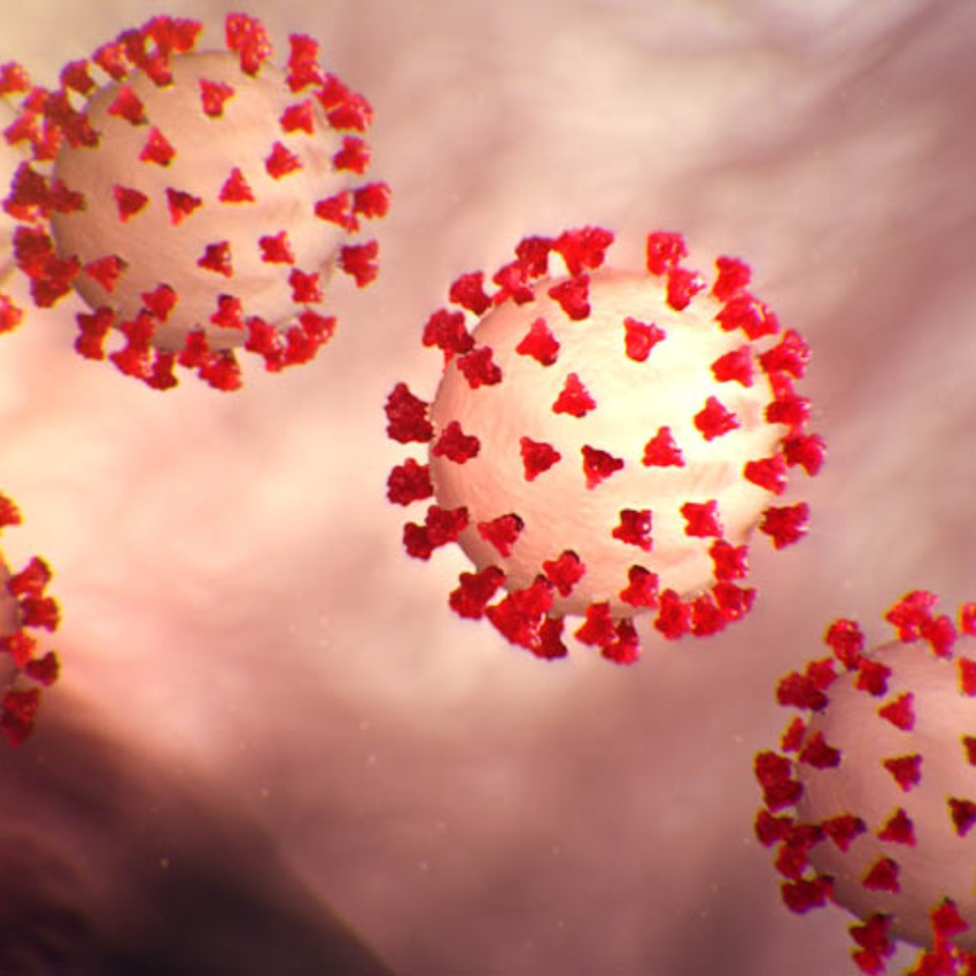 Coronavirus Outbreak