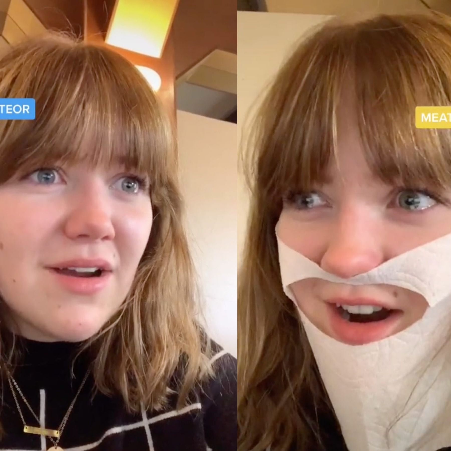 Tiktok and 'Seeing Like an Algorithm'