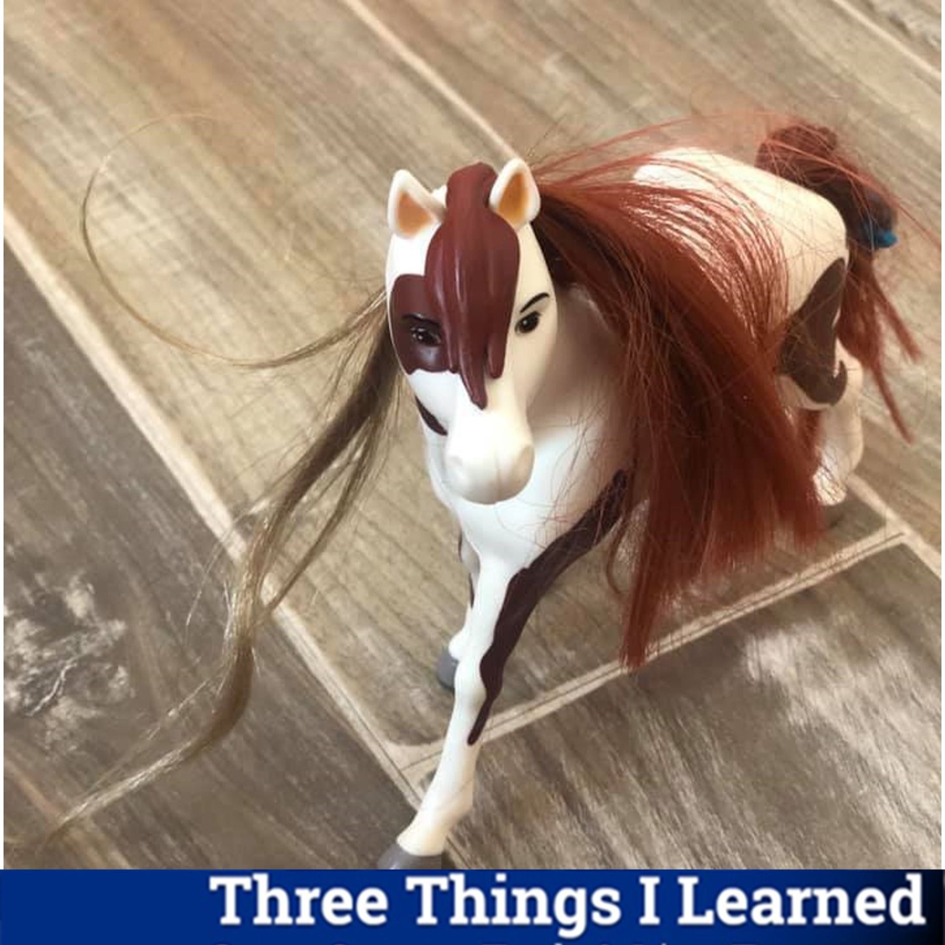 Three Things I Learned In SaaS, Sports, Tech & Live Events Podcast