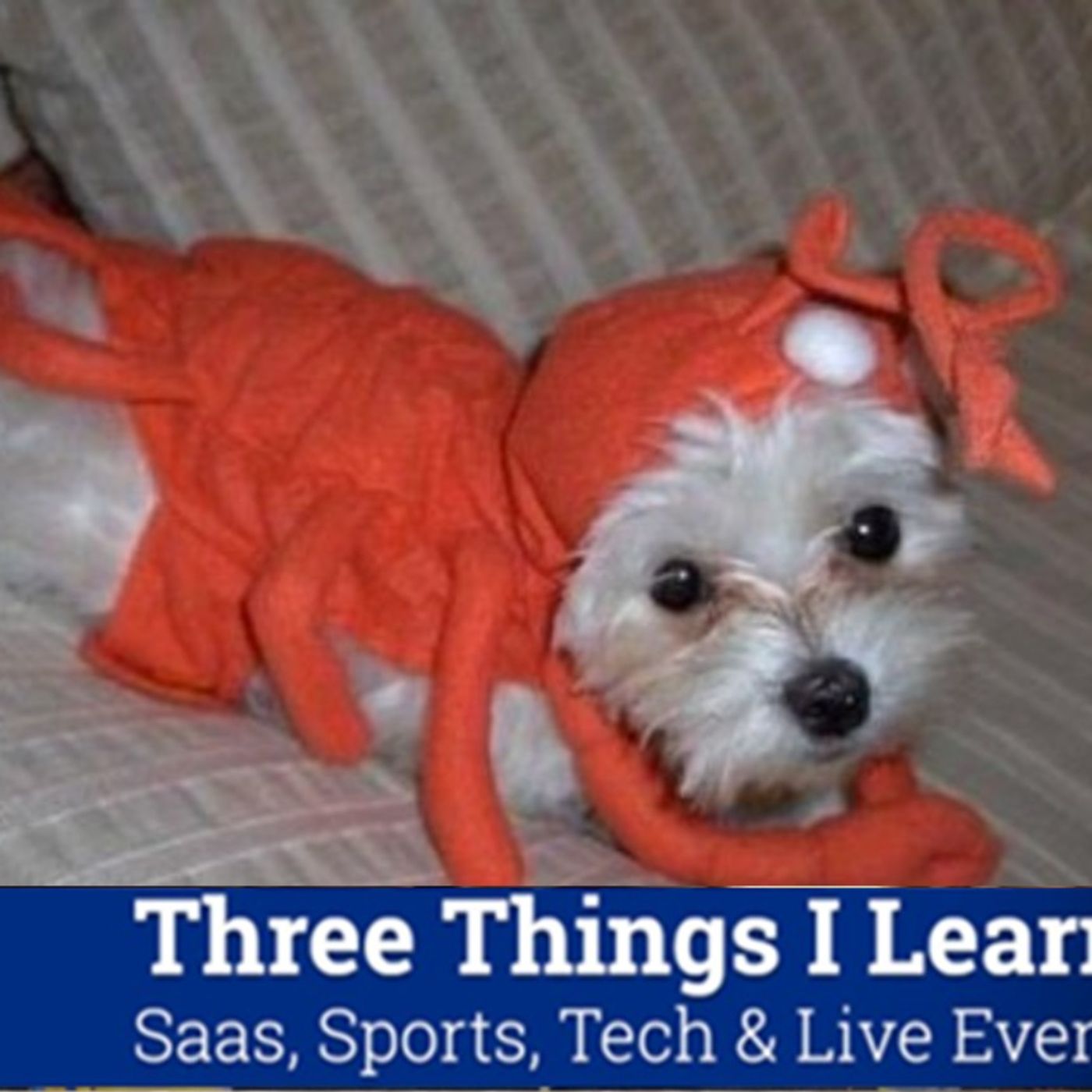 Three Things I Learned In SaaS, Sports, Tech & Live Events Podcast