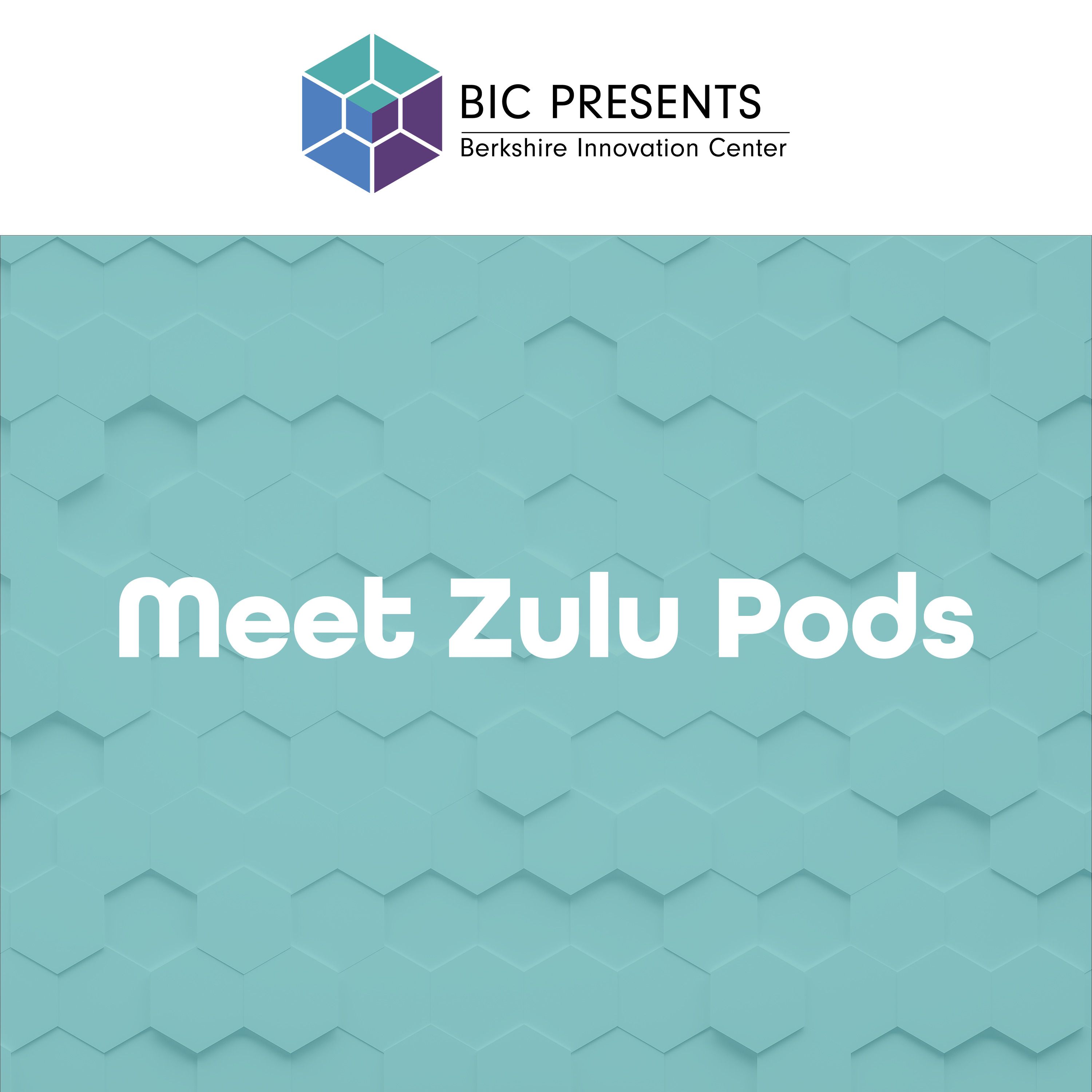 BIC Presents: Meet Zulu Pods