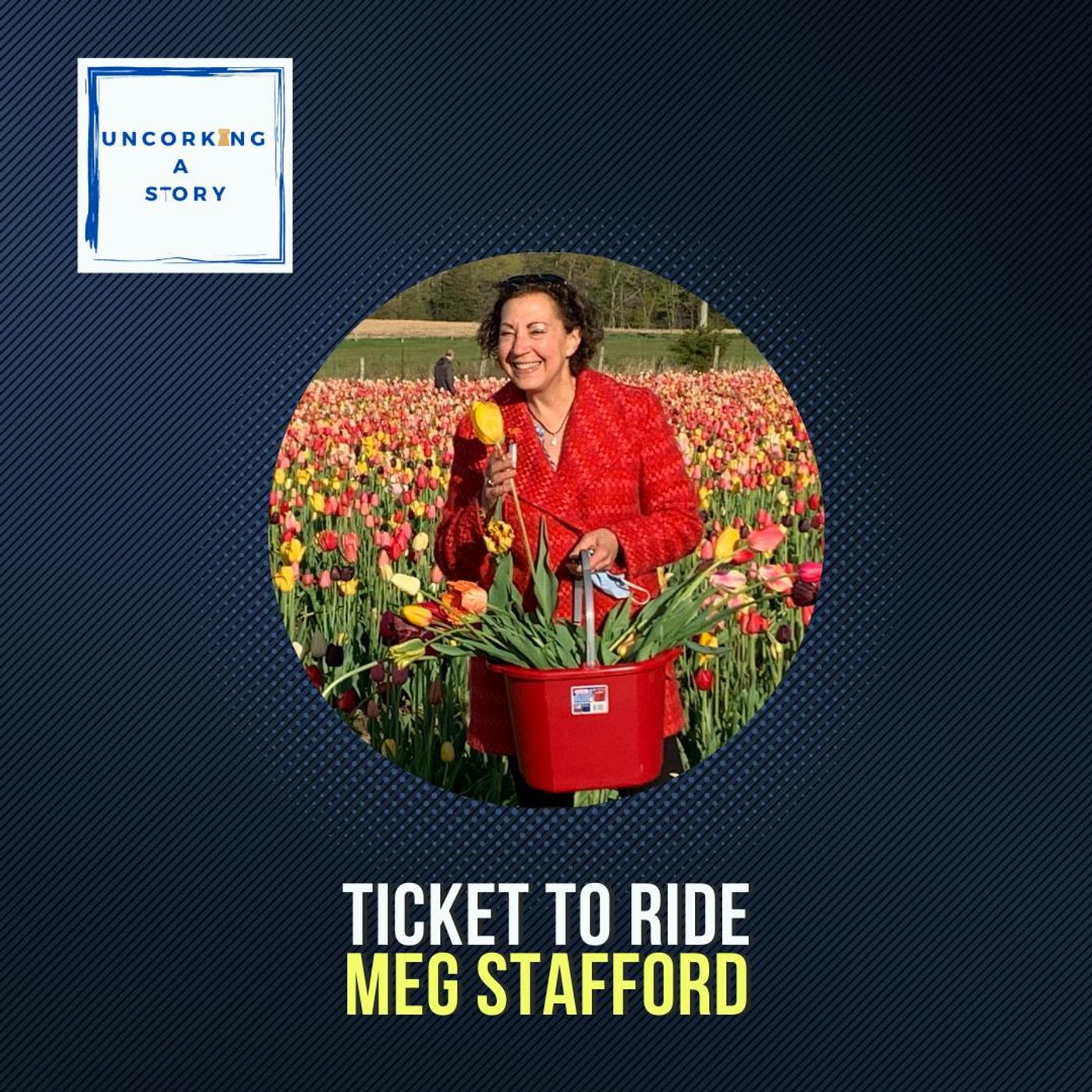 Ticket to Ride, with Meg Stafford
