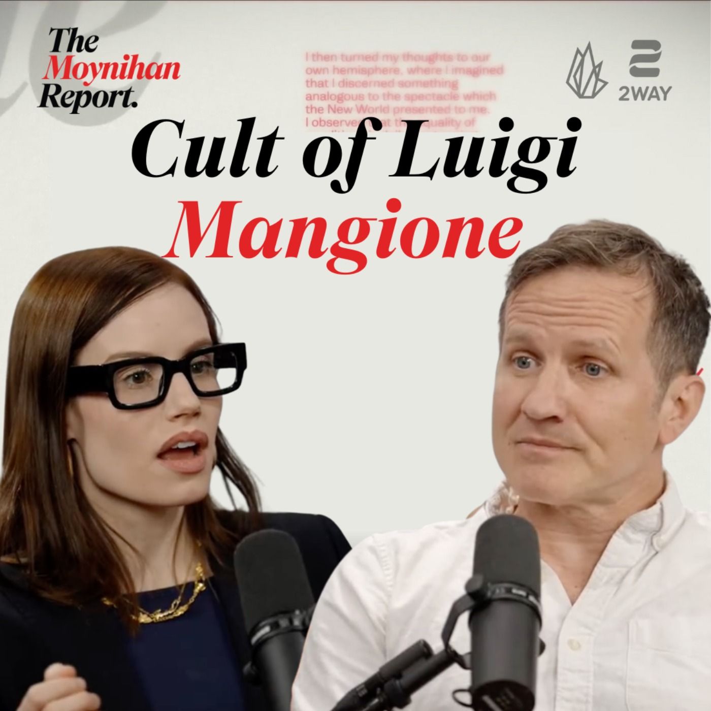 Inside the Cult of Luigi Magione with Olivia Reingold | The Moynihan Report episode artwork