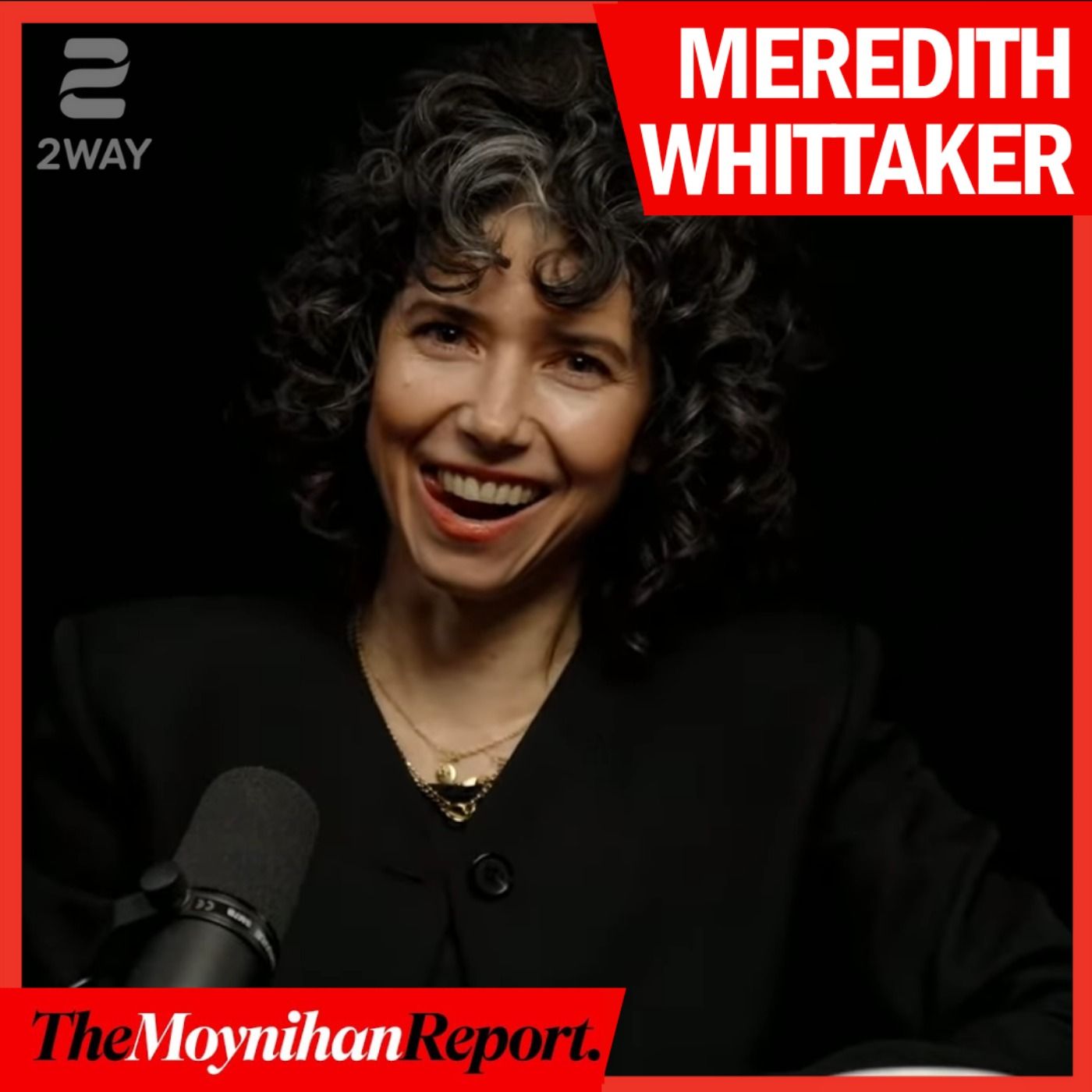AI is NOT replacing your job, it's "degrading" it. here's how | The Moynihan Report episode artwork
