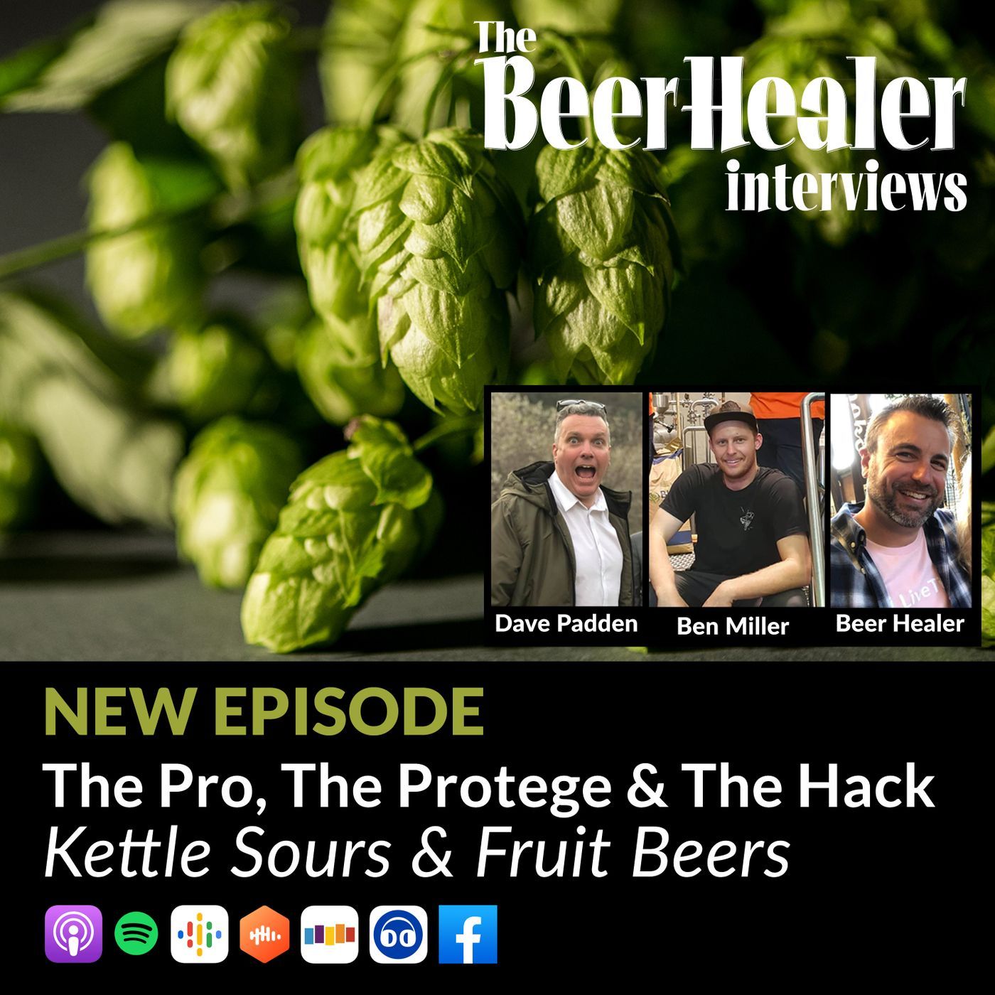 The Beer Healer Interviews