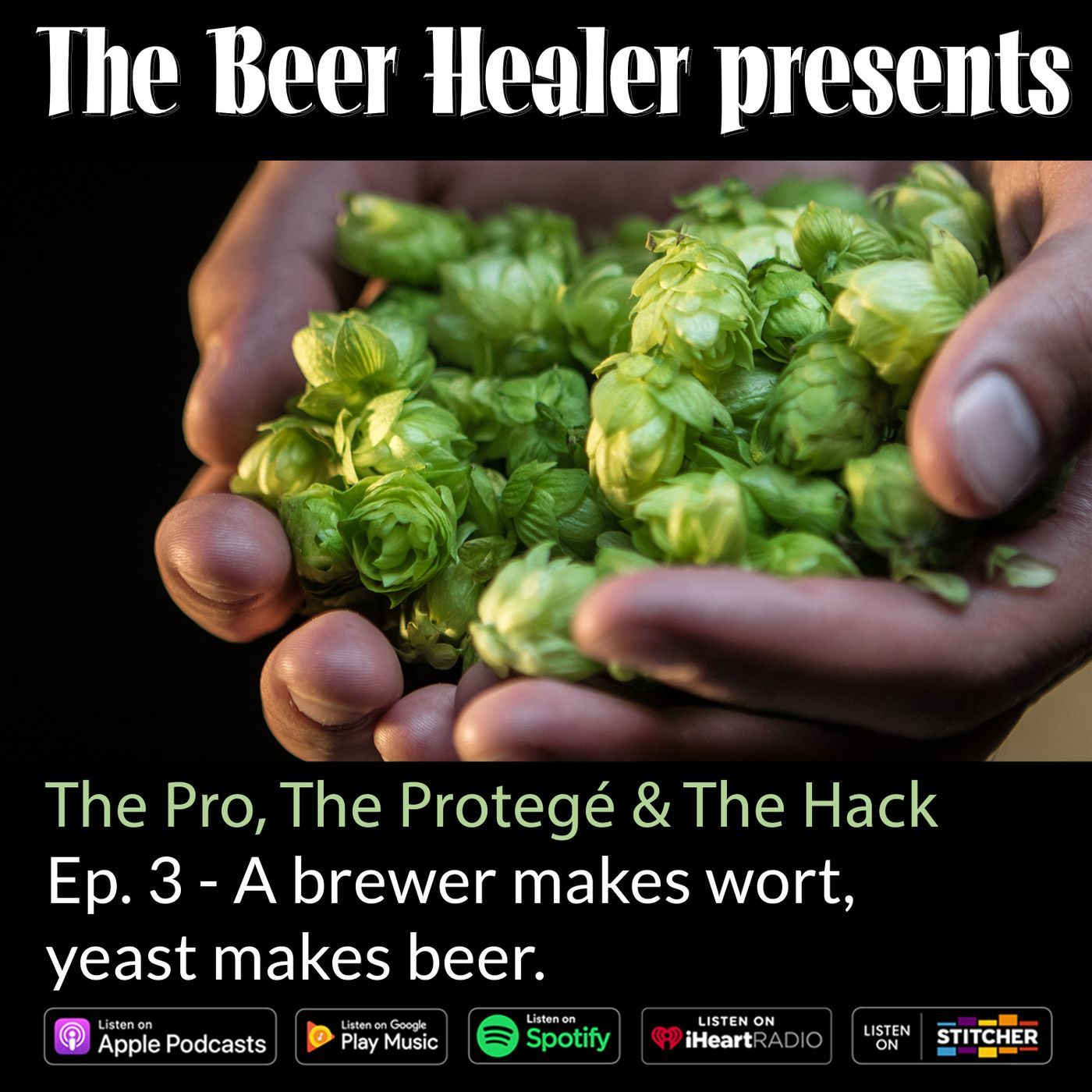 The Beer Healer Interviews