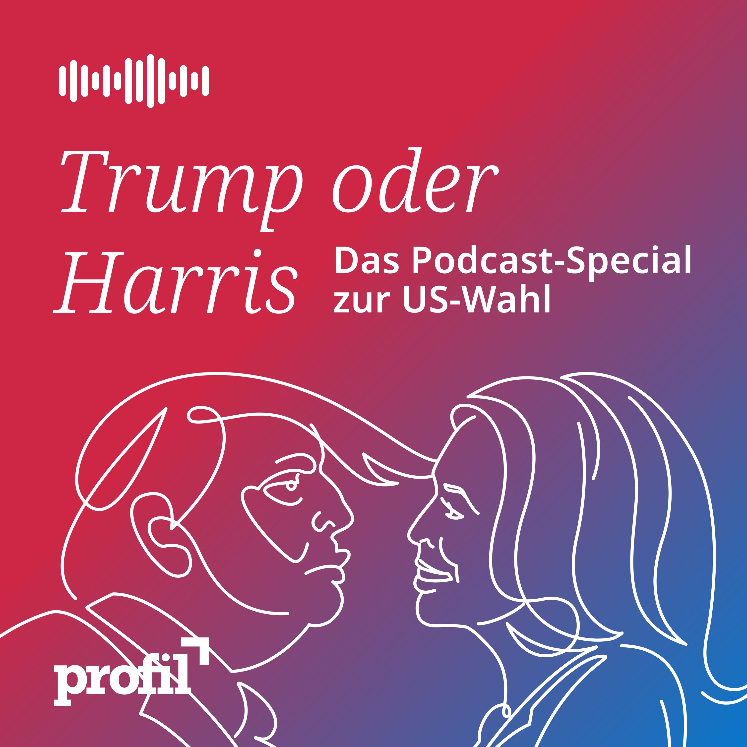 Zur Frage der Nation. Der profil-Politikpodcast