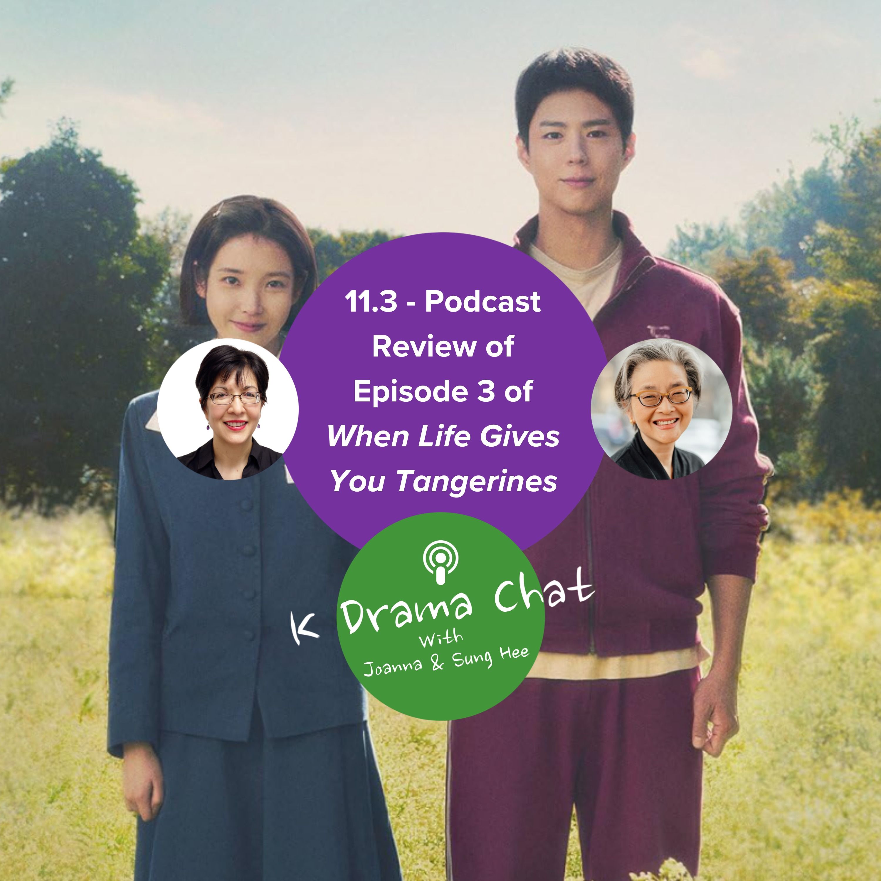 11.3 - Podcast Review of Episode 3 of When Life Gives You Tangerines episode artwork