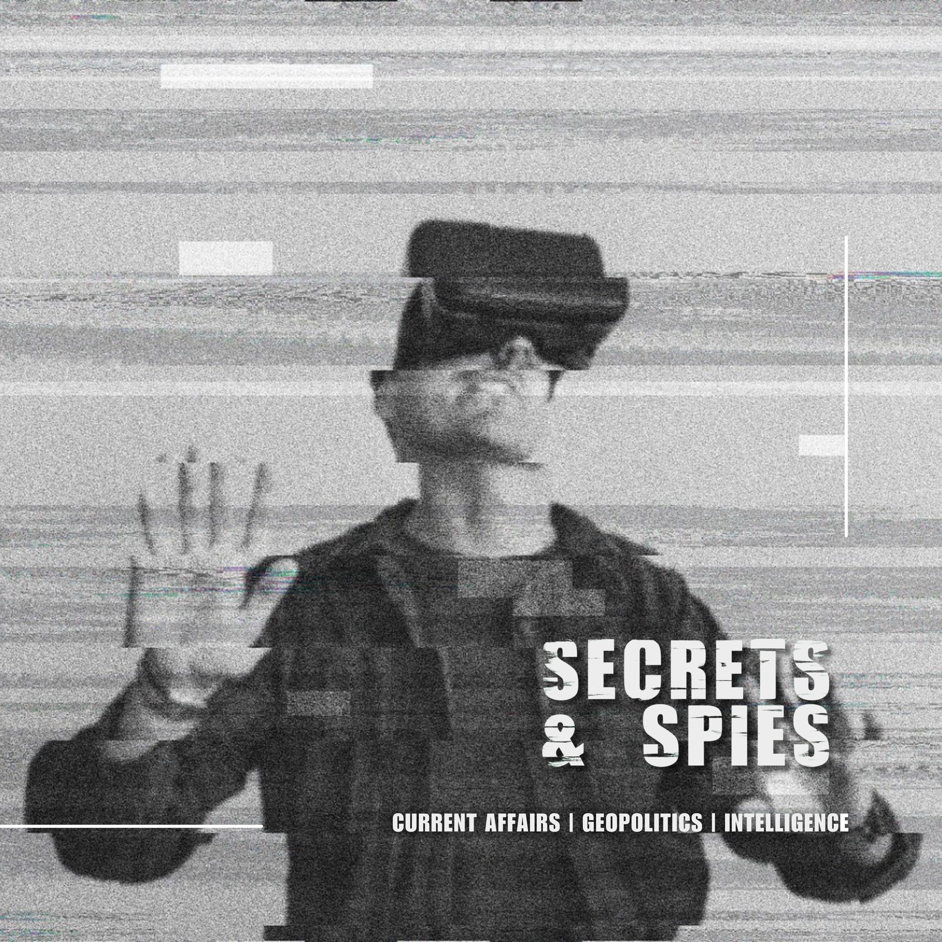S9 Ep62: The Information Animal: Humans, Technology, and the Competition for Reality with Alicia Wanless episode artwork