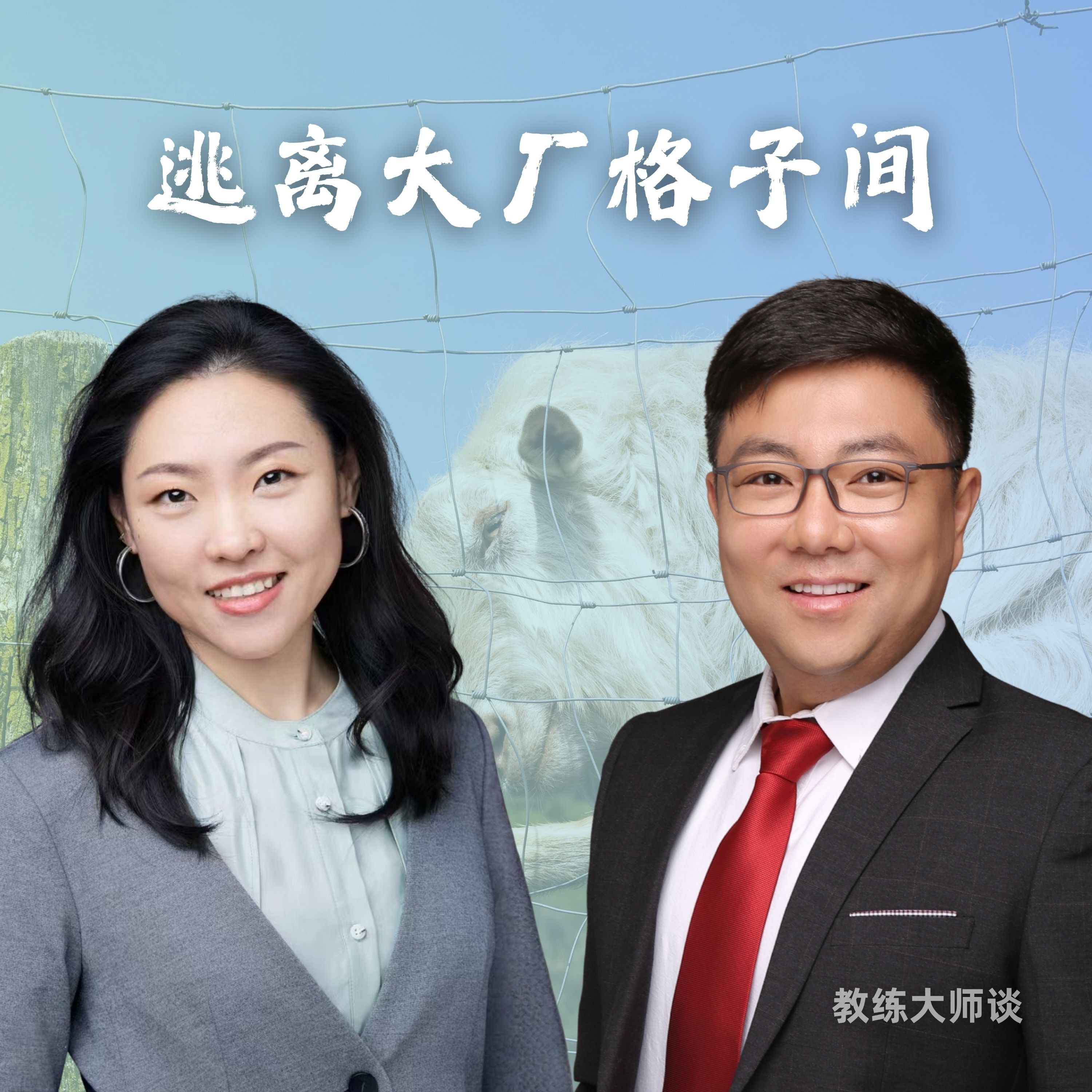 E607-《教练｜逃离大厂格子间：我做一人公司的这几年，意识是如何彻底觉醒的》教练大师谈