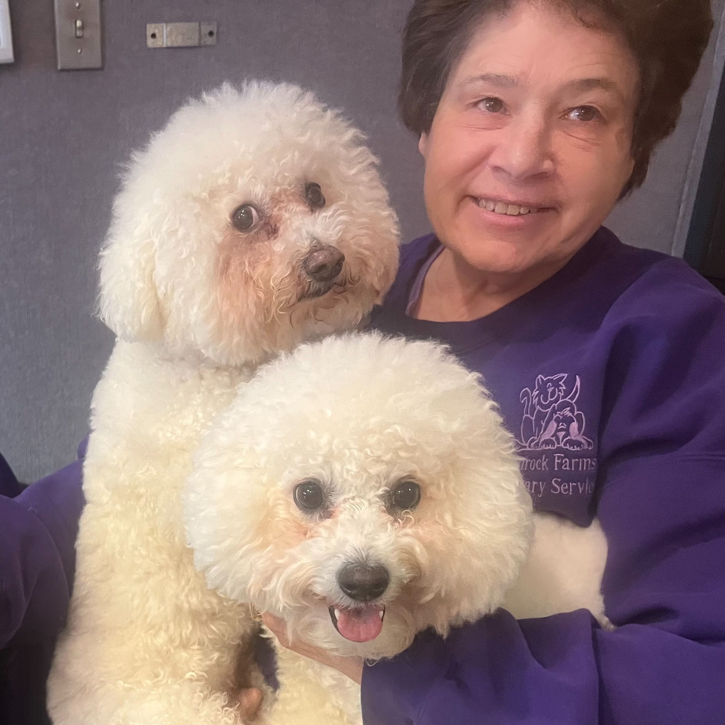 012726 ~ Motor City Winter Dog Classic - Lorrie Carlton