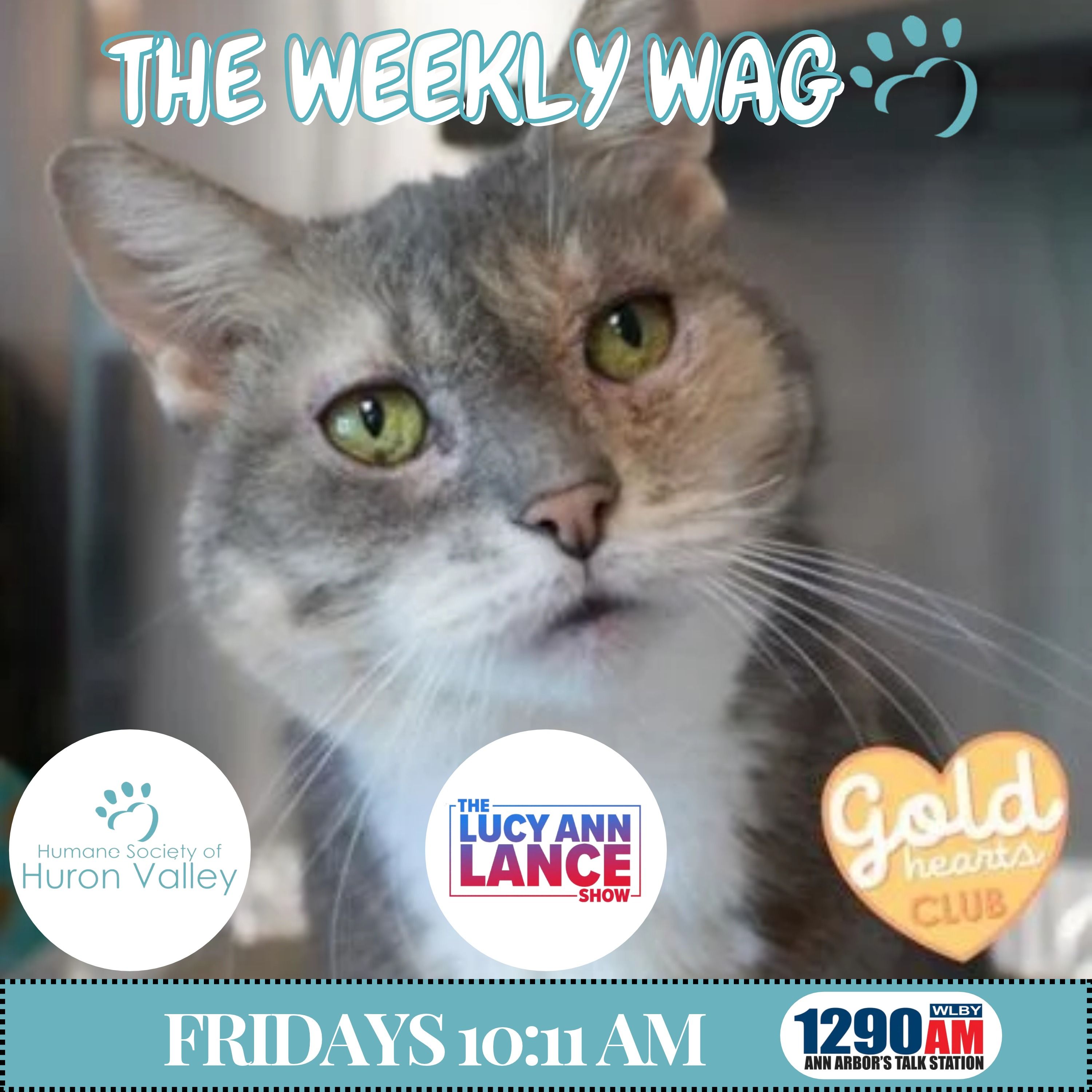 100226 ~ The Weekly Wag! - Wendy Welch episode artwork