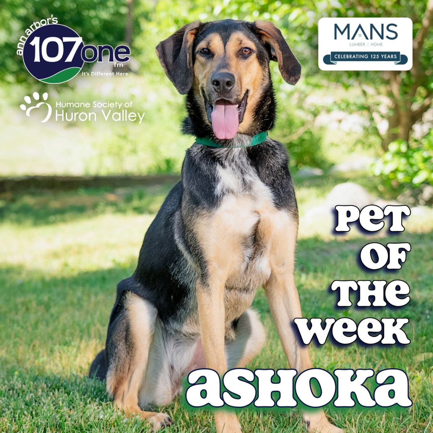 HSHV Pet of the Week 6/18/26 episode artwork