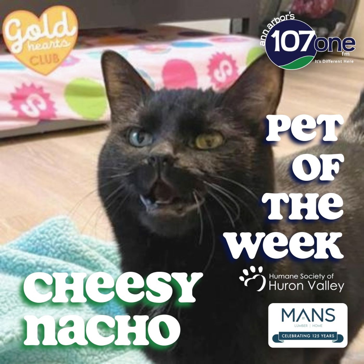 a2VV: HSHV Pet of the Week 5/21/26 episode artwork